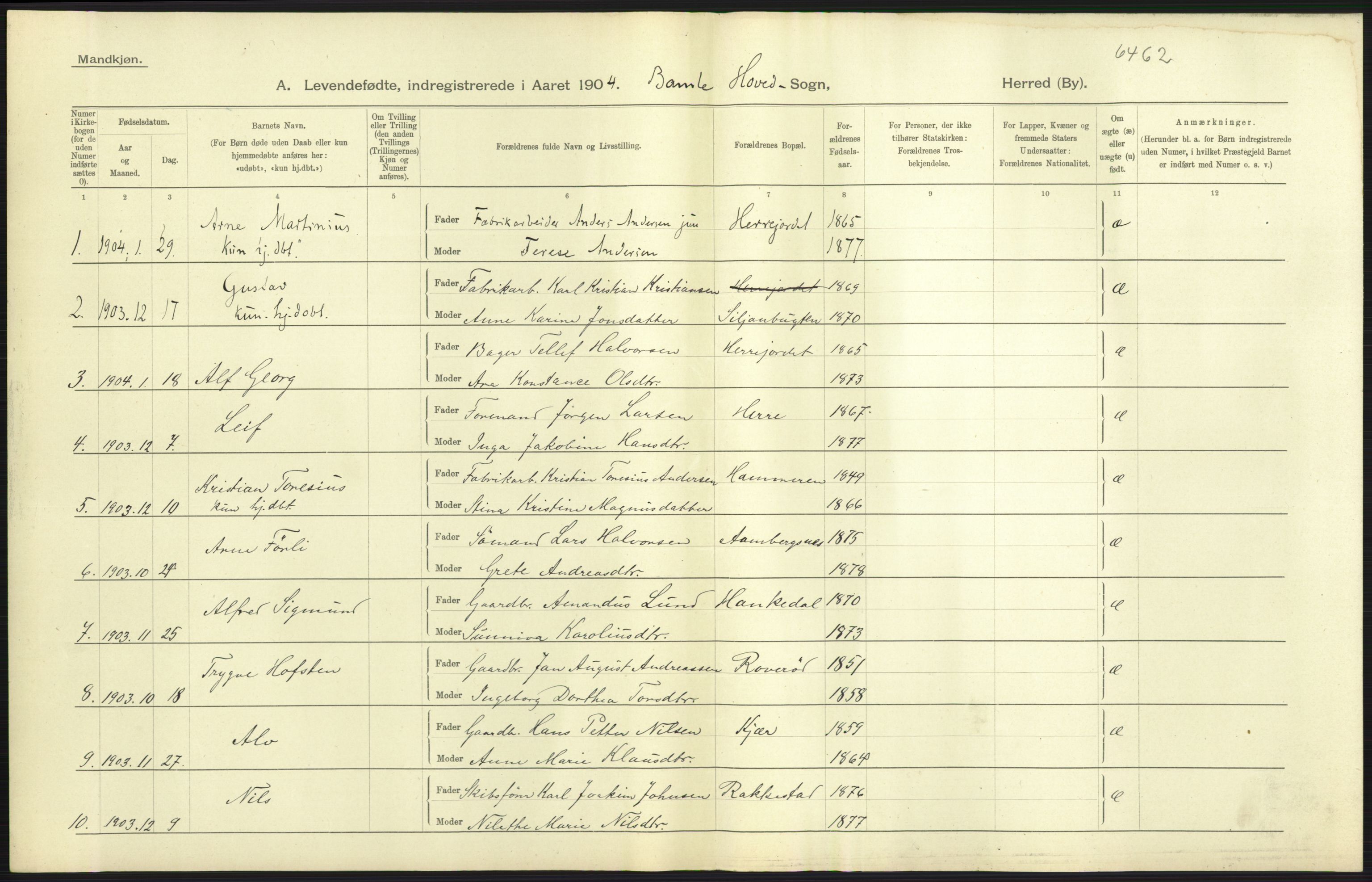 Statistisk sentralbyrå, Sosiodemografiske emner, Befolkning, AV/RA-S-2228/D/Df/Dfa/Dfab/L0009: Bratsberg amt: Fødte, gifte, døde, 1904, p. 43