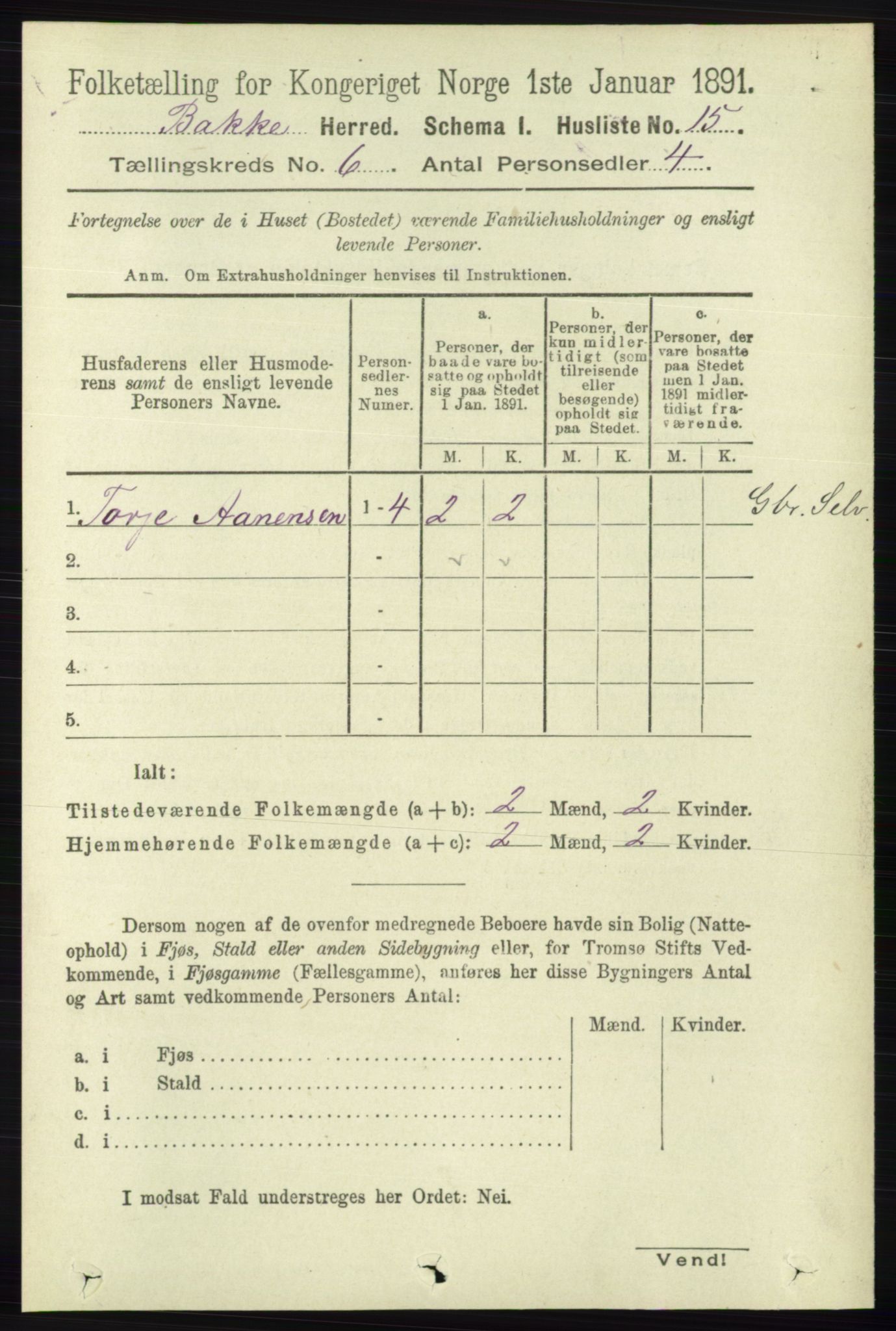 RA, 1891 census for 1045 Bakke, 1891, p. 1163