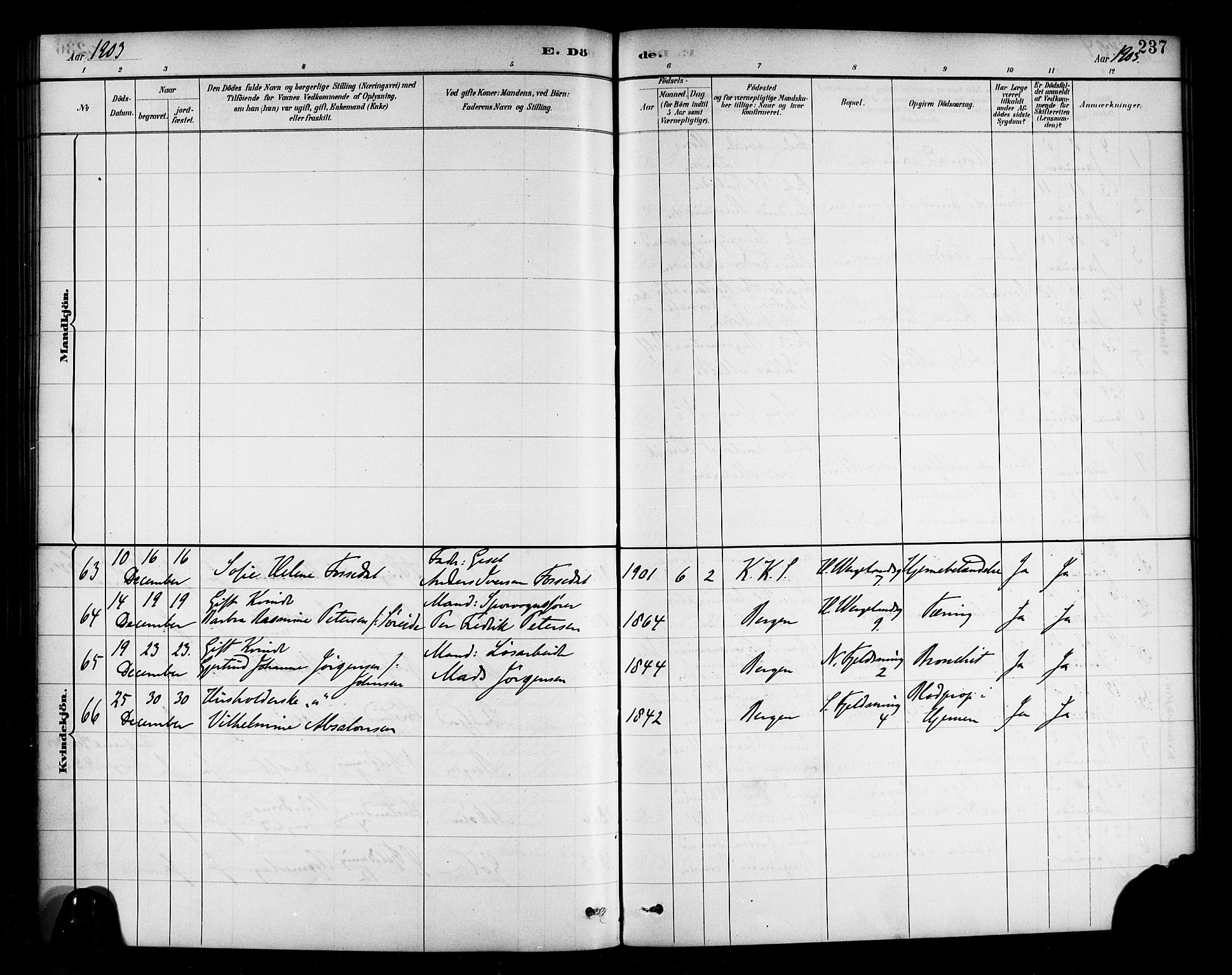 Korskirken sokneprestembete, AV/SAB-A-76101/H/Haa/L0047: Parish register (official) no. E 5, 1884-1910, p. 237