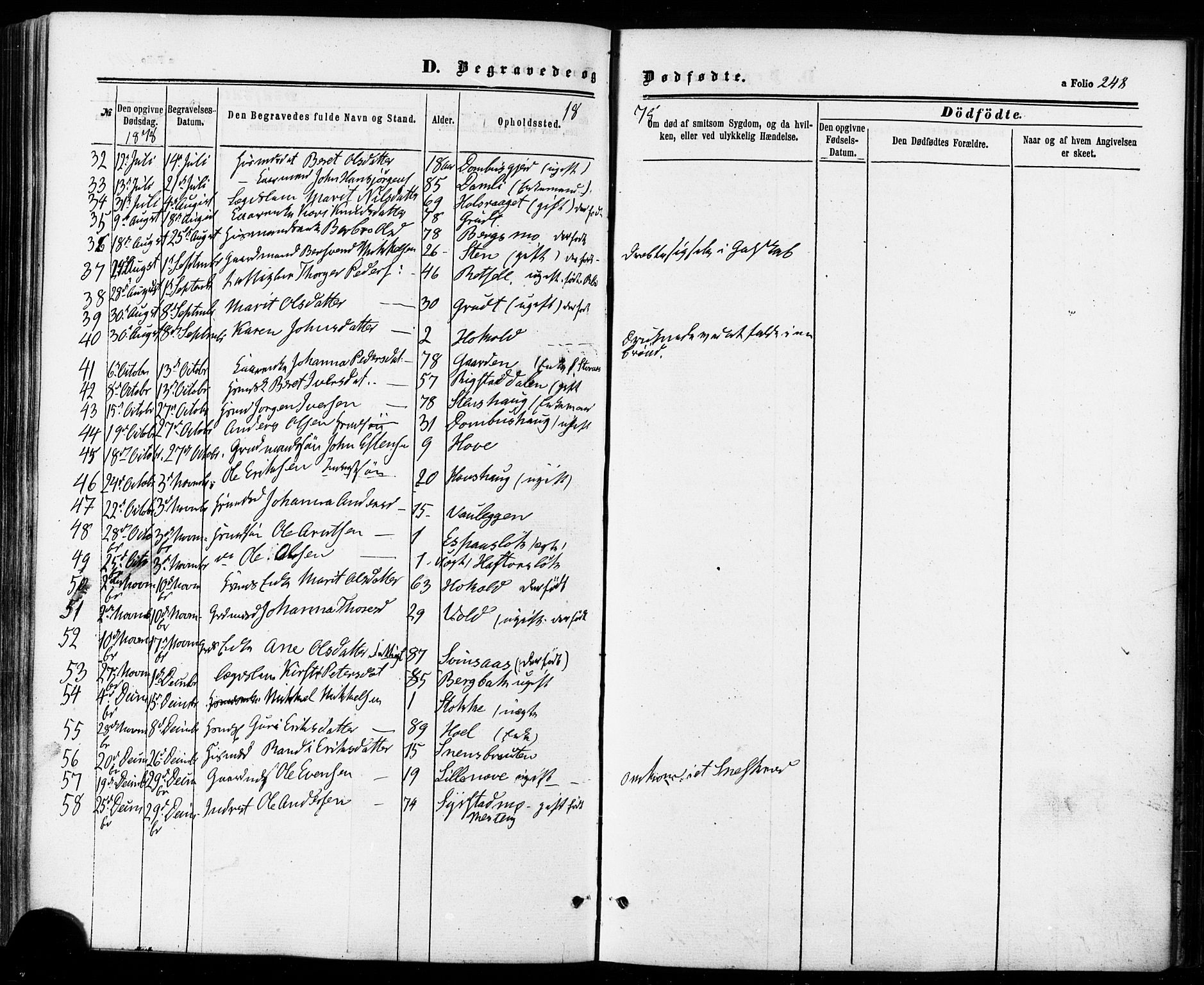 Ministerialprotokoller, klokkerbøker og fødselsregistre - Sør-Trøndelag, SAT/A-1456/672/L0856: Parish register (official) no. 672A08, 1861-1881, p. 248