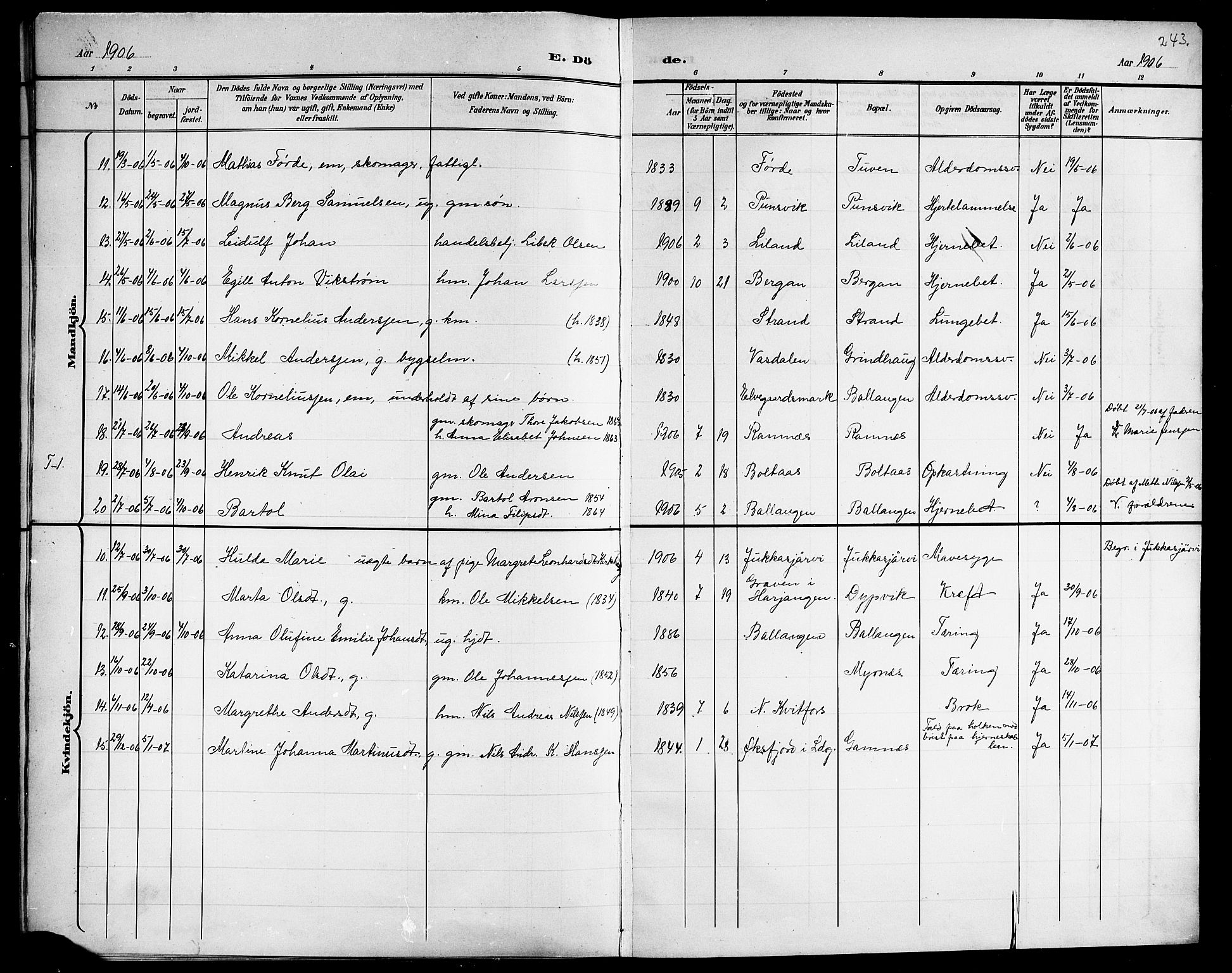 Ministerialprotokoller, klokkerbøker og fødselsregistre - Nordland, AV/SAT-A-1459/863/L0915: Parish register (copy) no. 863C05, 1898-1907, p. 243