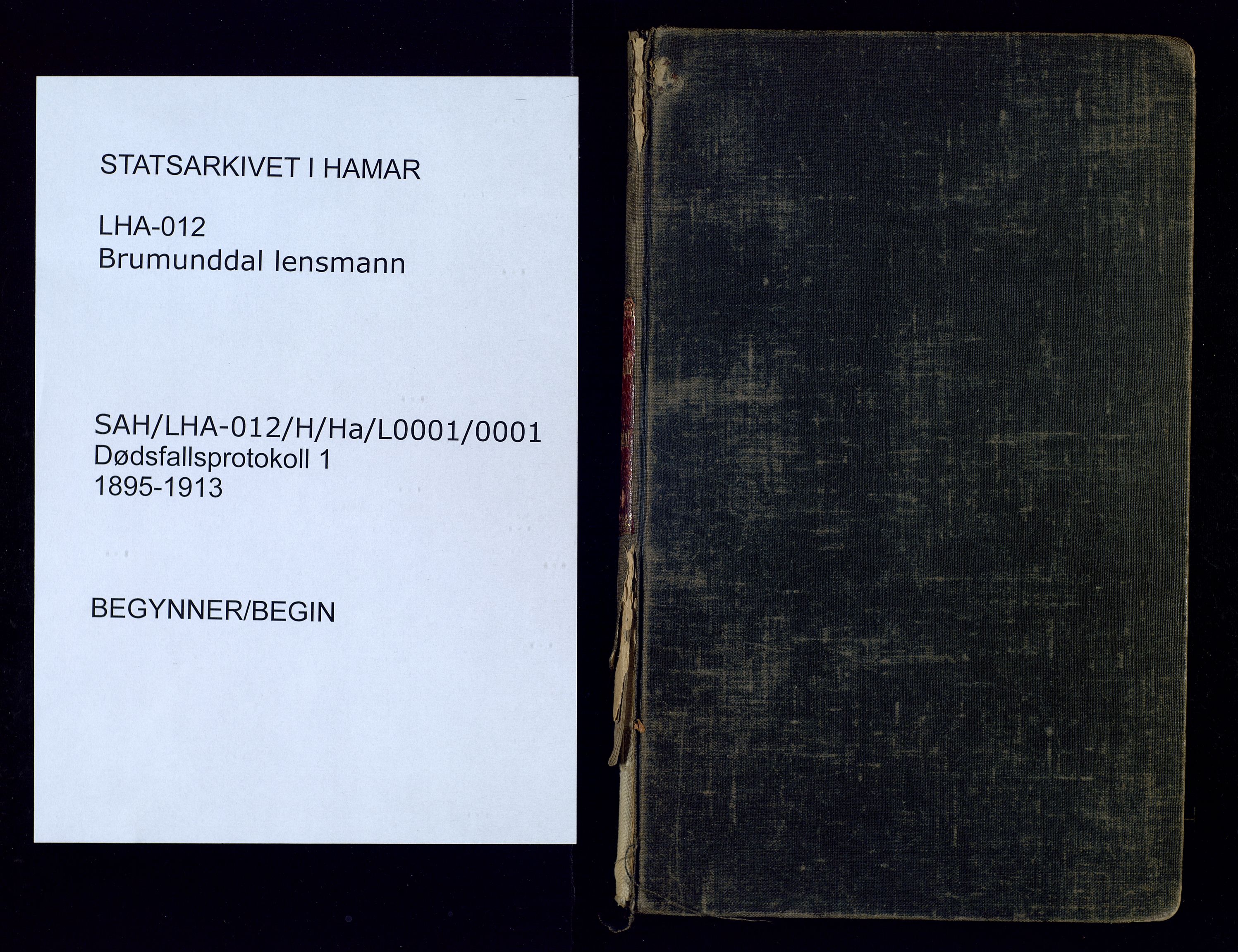 Brumunddal lensmannskontor, SAH/LHR-012/H/Ha/L0001/0001: Dødsfallsprotokoller / Dødsfallsprotokoll, 1895-1913