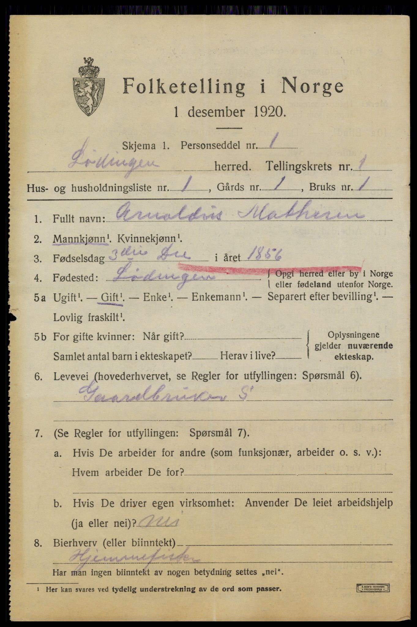 SAT, 1920 census for Lødingen, 1920, p. 1025