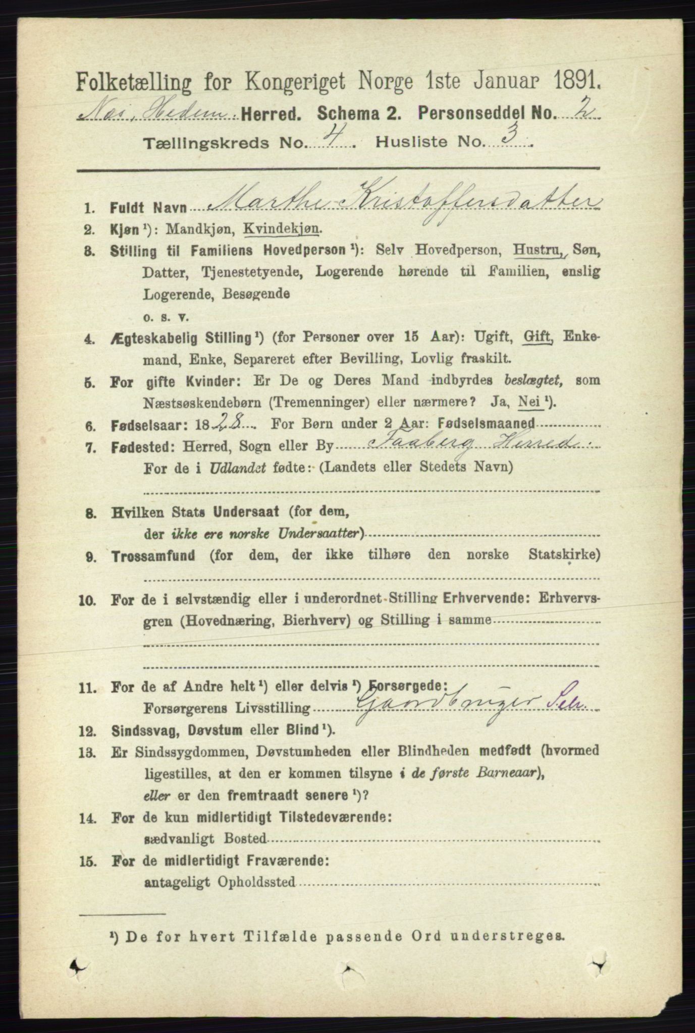 RA, 1891 census for 0411 Nes, 1891, p. 2055