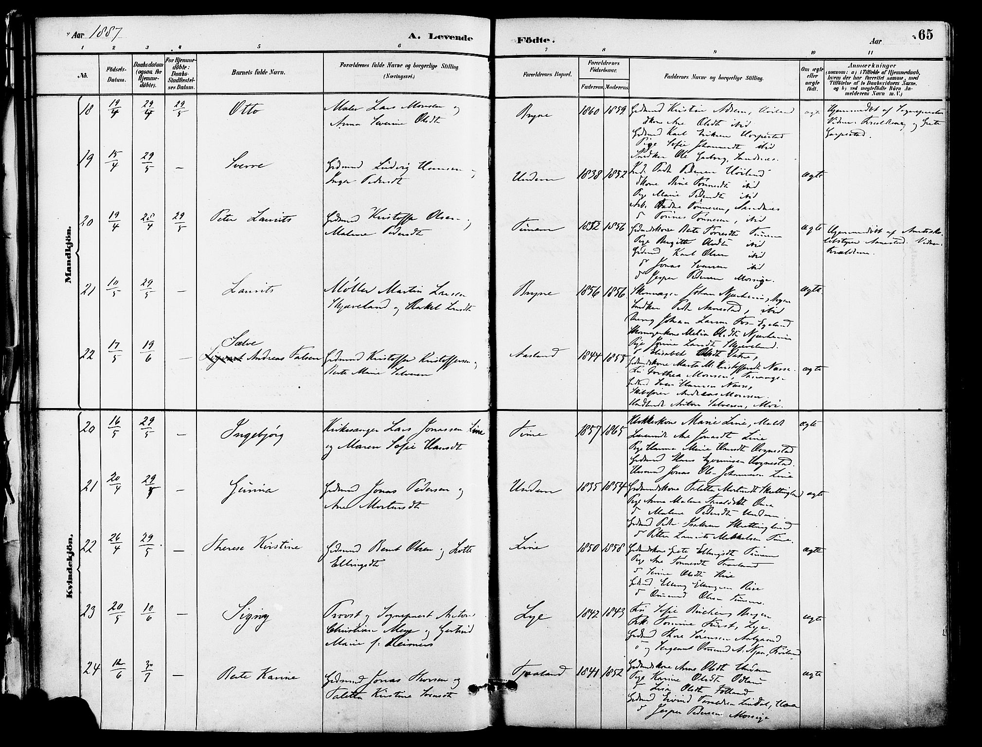 Lye sokneprestkontor, AV/SAST-A-101794/001/30BA/L0009: Parish register (official) no. A 8, 1881-1892, p. 65