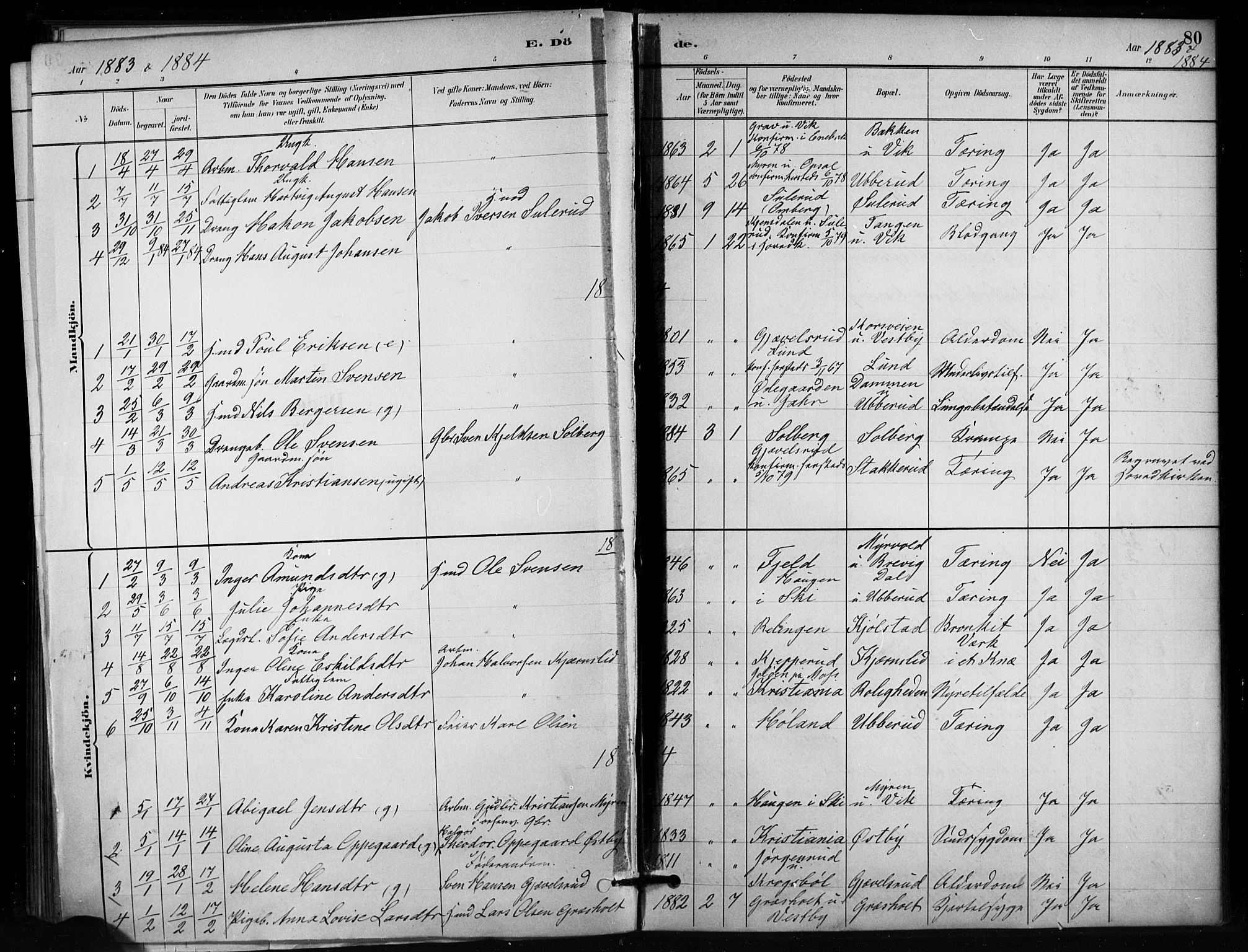 Enebakk prestekontor Kirkebøker, AV/SAO-A-10171c/F/Fb/L0001: Parish register (official) no. II 1, 1877-1902, p. 80