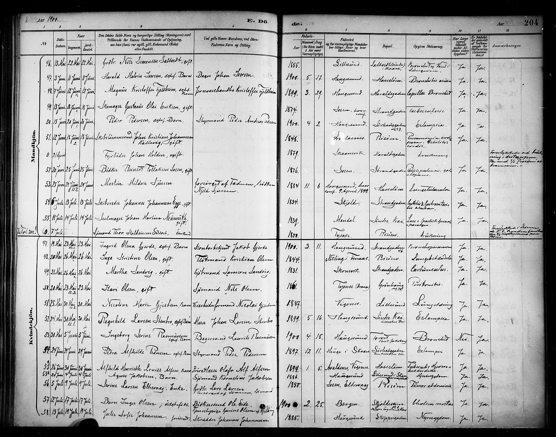 Haugesund sokneprestkontor, AV/SAST-A -101863/H/Ha/Haa/L0005: Parish register (official) no. A 5, 1891-1903, p. 204