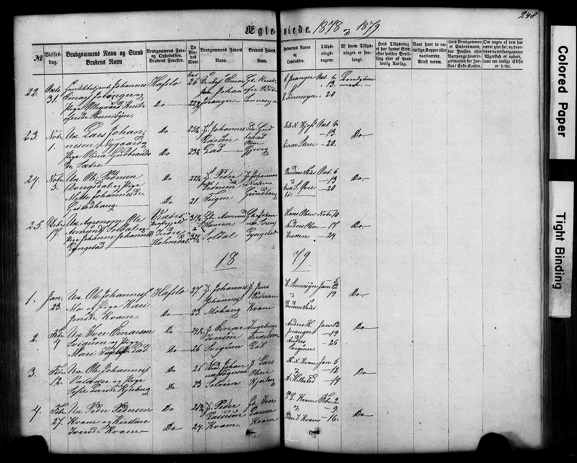 Hafslo sokneprestembete, AV/SAB-A-80301/H/Hab/Haba/L0001: Parish register (copy) no. A 1, 1866-1908, p. 248