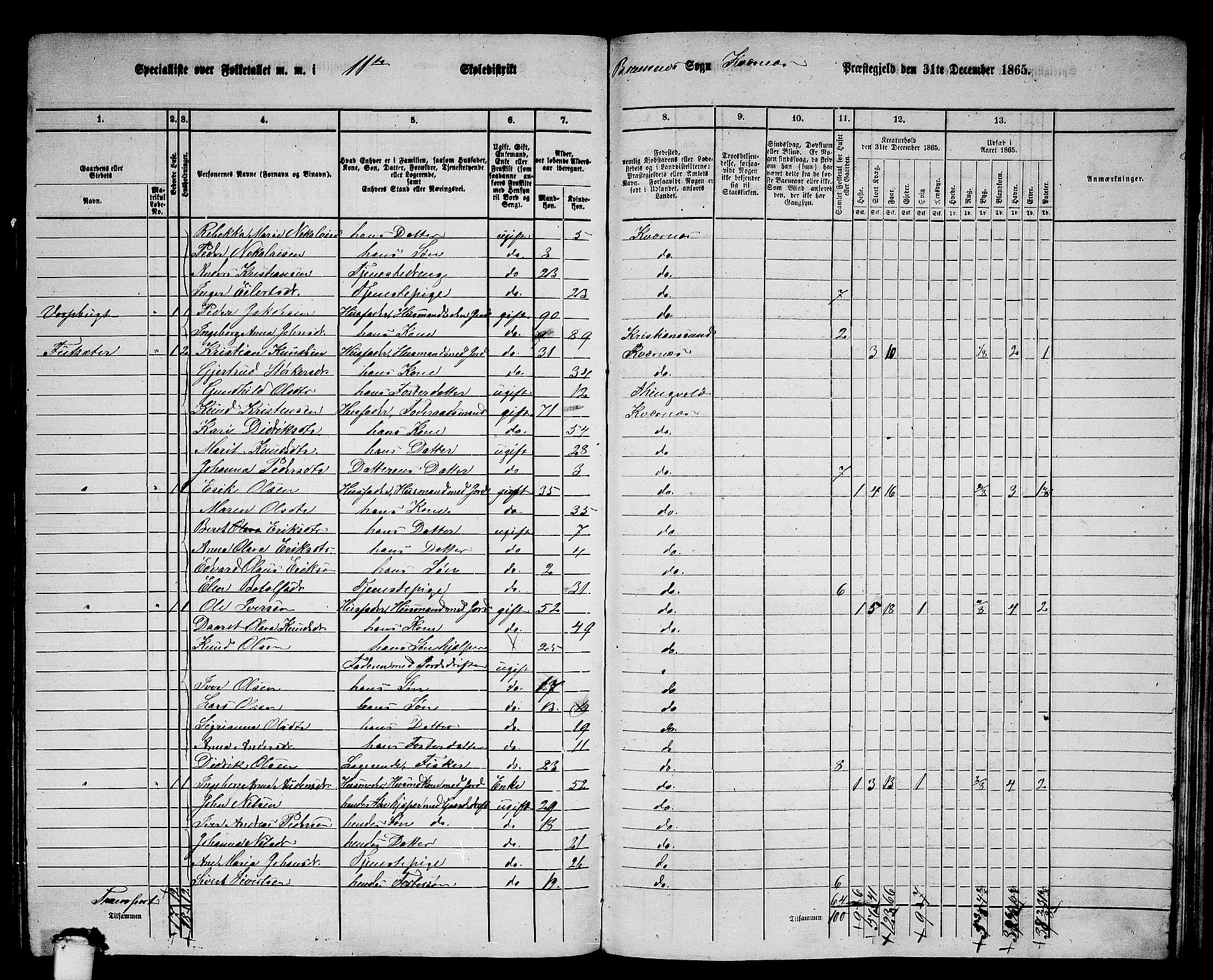 RA, 1865 census for Kvernes, 1865, p. 196