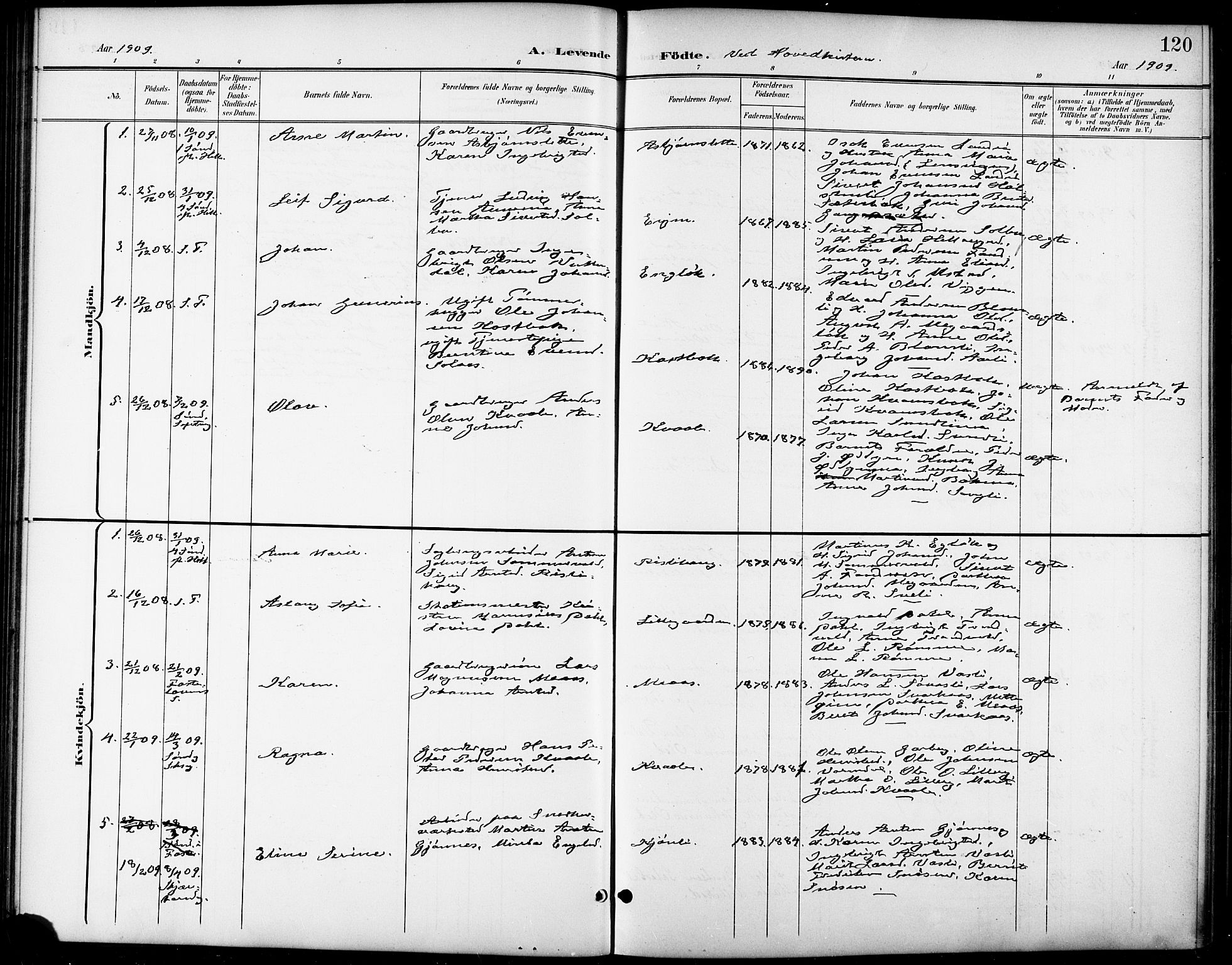 Ministerialprotokoller, klokkerbøker og fødselsregistre - Sør-Trøndelag, SAT/A-1456/668/L0819: Parish register (copy) no. 668C08, 1899-1912, p. 120