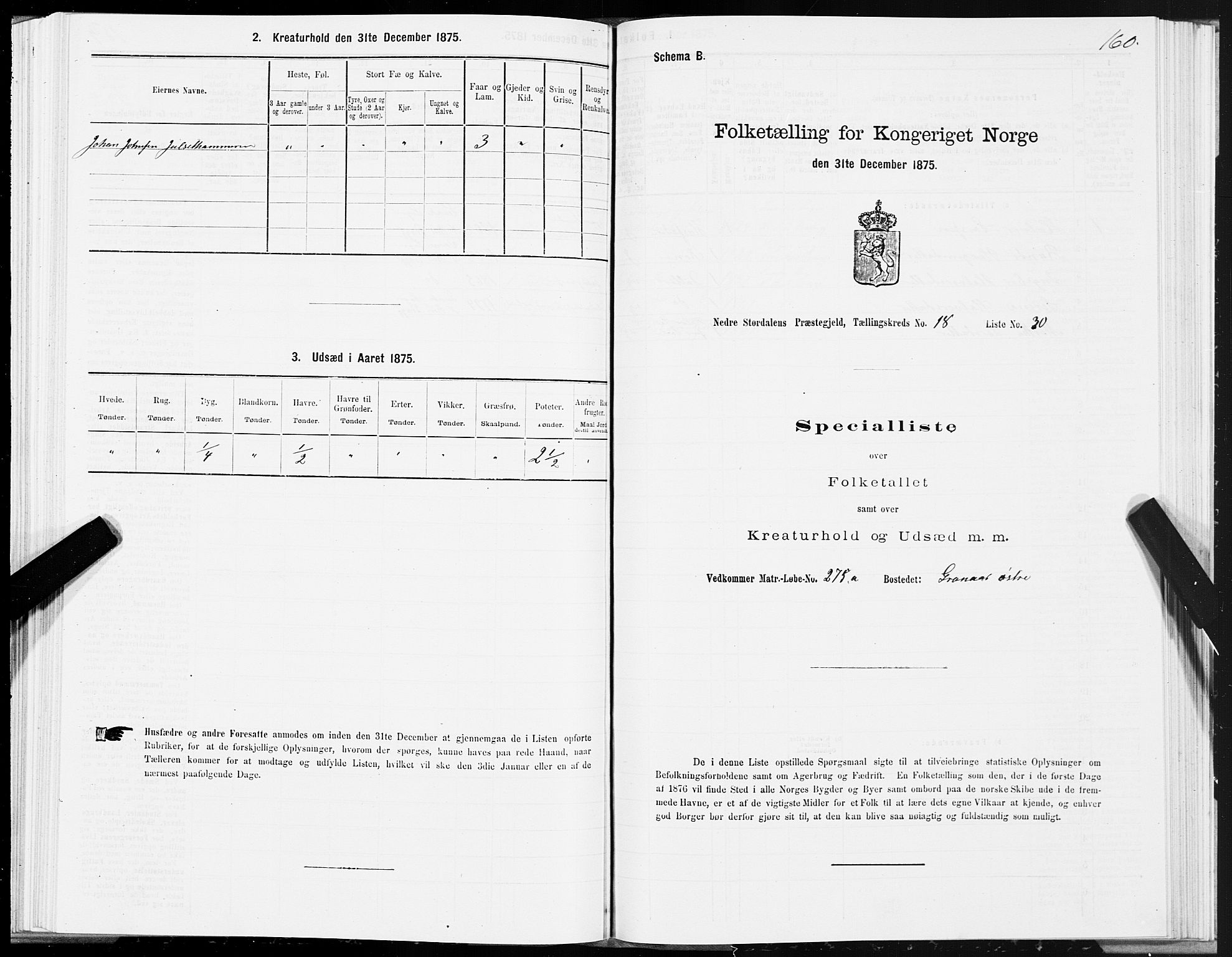 SAT, 1875 census for 1714P Nedre Stjørdal, 1875, p. 9160