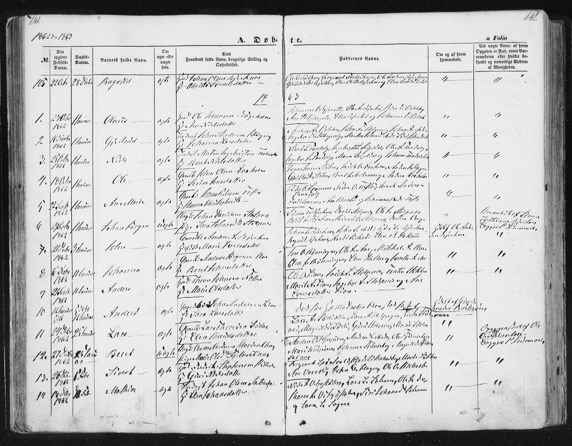 Ministerialprotokoller, klokkerbøker og fødselsregistre - Sør-Trøndelag, AV/SAT-A-1456/630/L0494: Parish register (official) no. 630A07, 1852-1868, p. 141-142