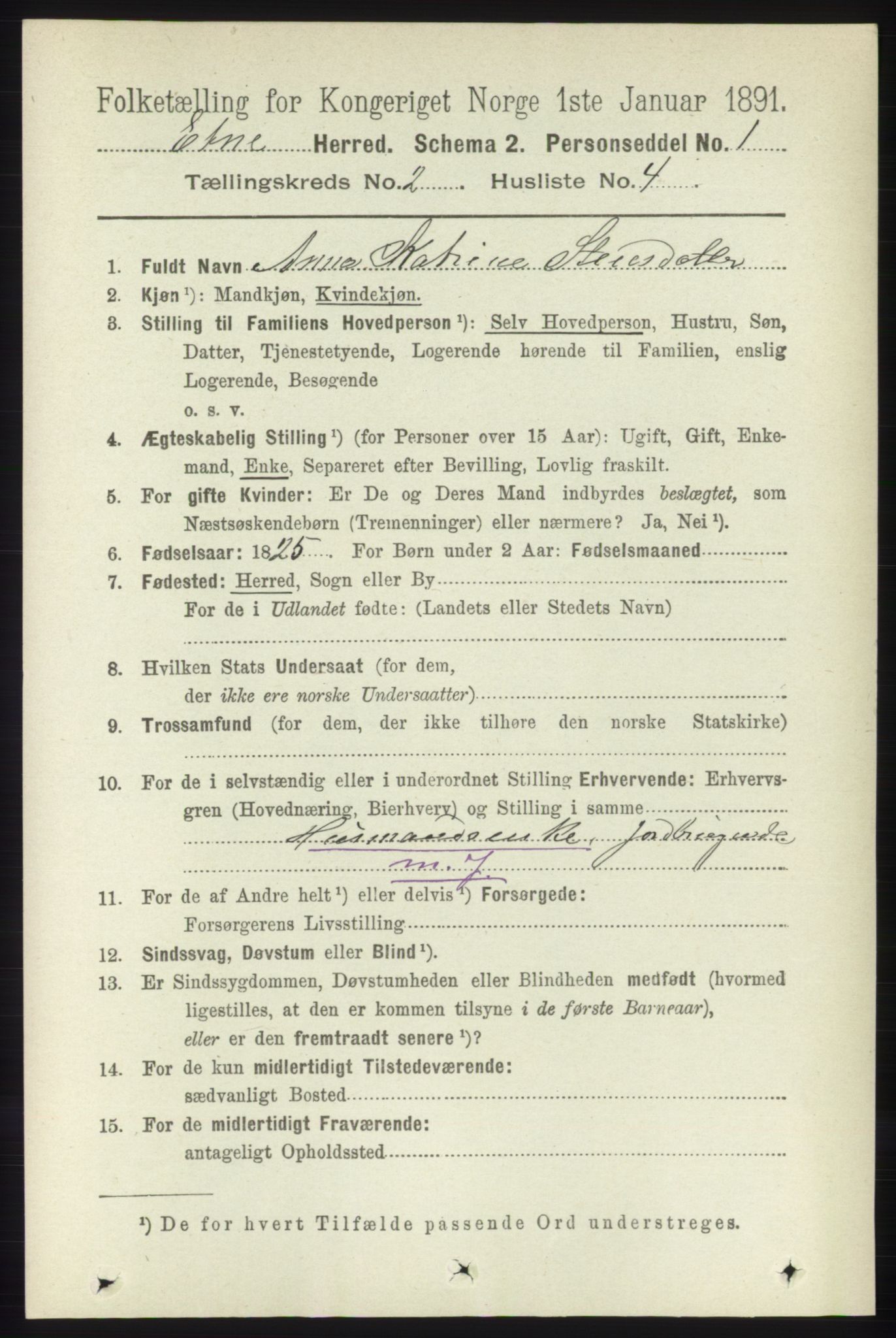 RA, 1891 census for 1211 Etne, 1891, p. 345