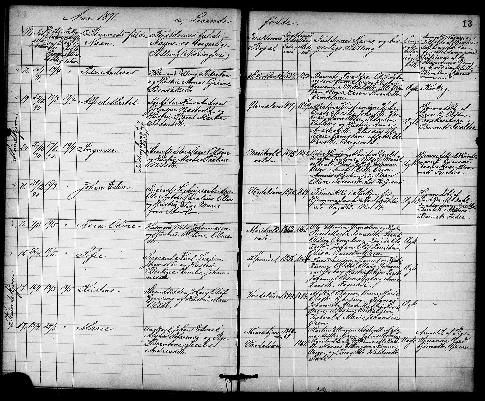 Ministerialprotokoller, klokkerbøker og fødselsregistre - Nord-Trøndelag, AV/SAT-A-1458/723/L0257: Parish register (copy) no. 723C05, 1890-1907, p. 13