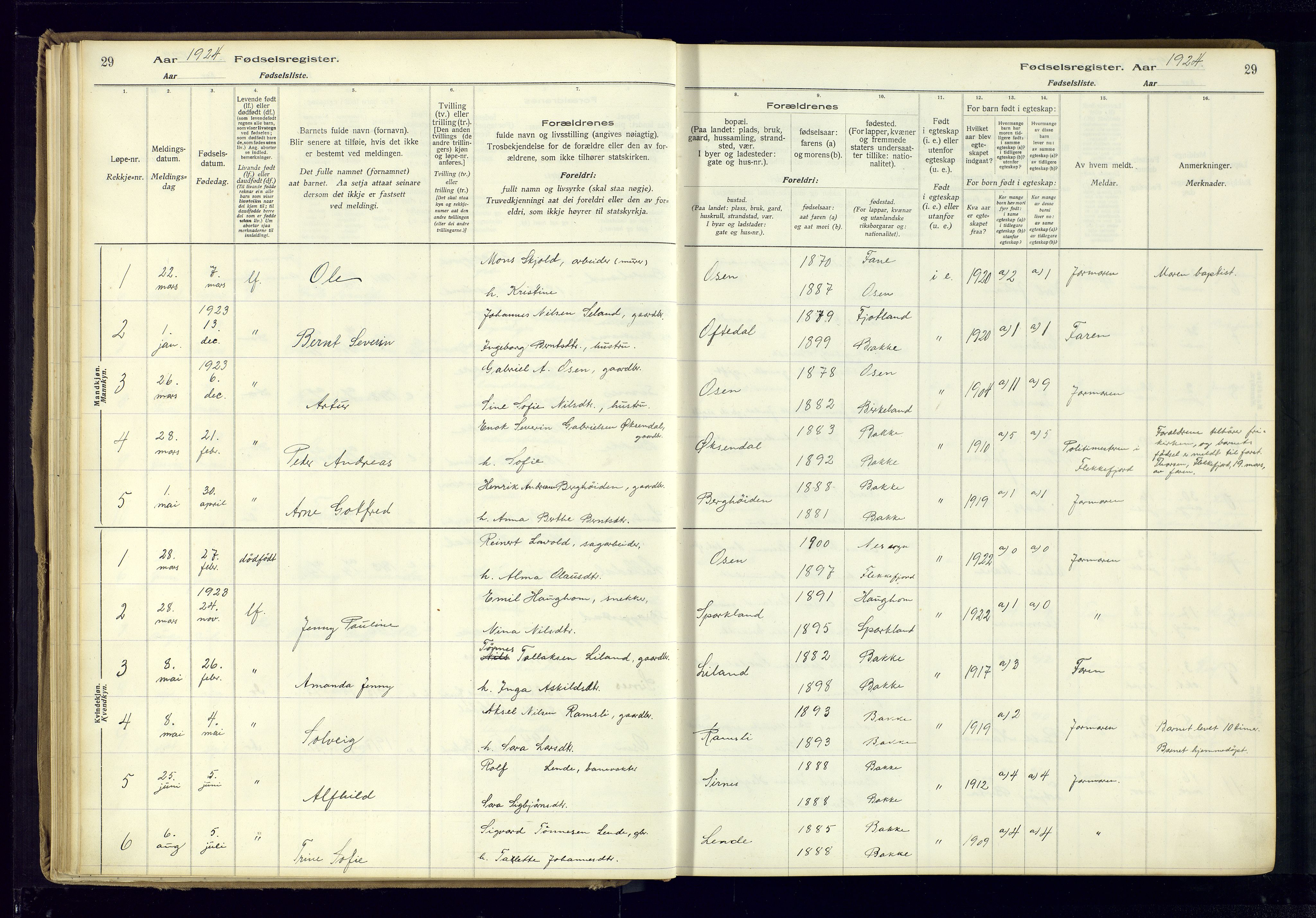 Bakke sokneprestkontor, SAK/1111-0002/J/Ja/L0001: Birth register no. A-VI-18, 1916-1982, p. 29