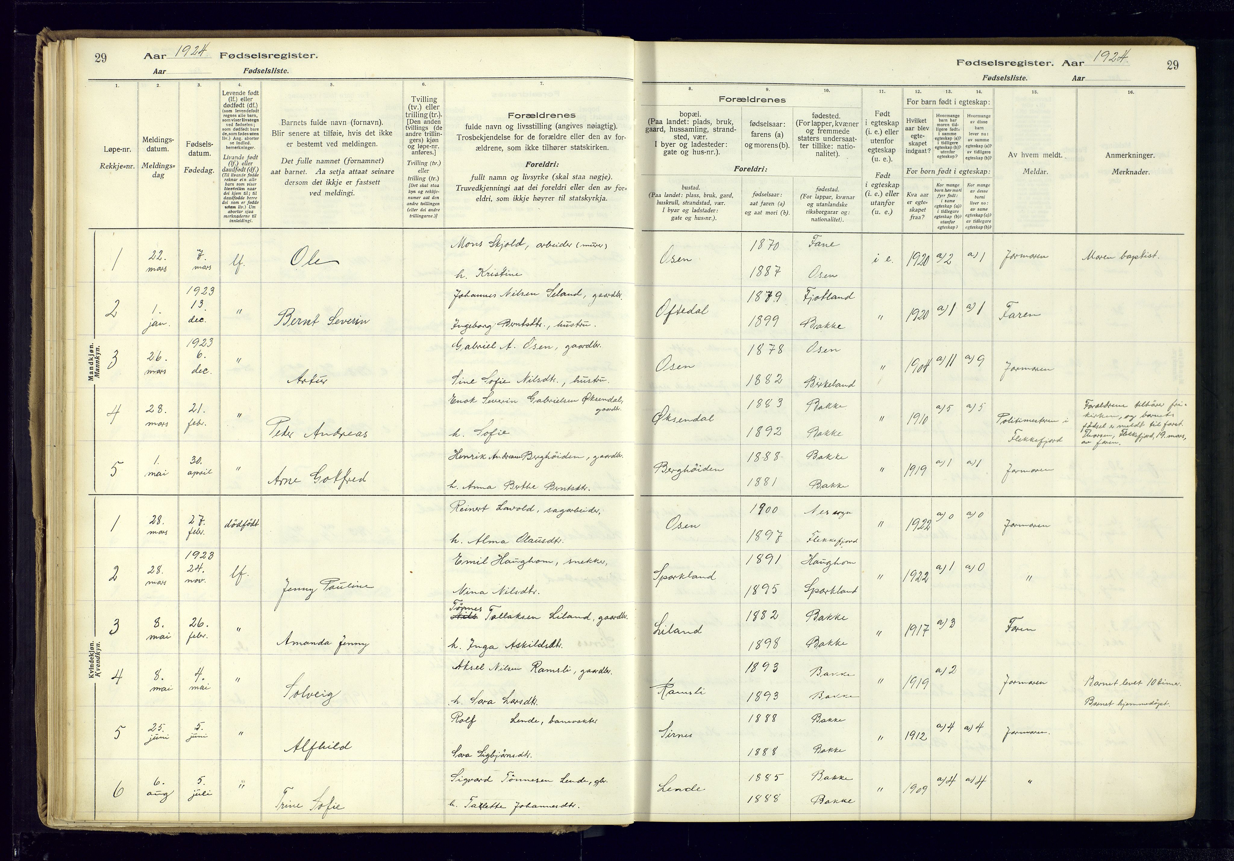 Bakke sokneprestkontor, AV/SAK-1111-0002/J/Ja/L0001: Birth register no. A-VI-18, 1916-1982, p. 29