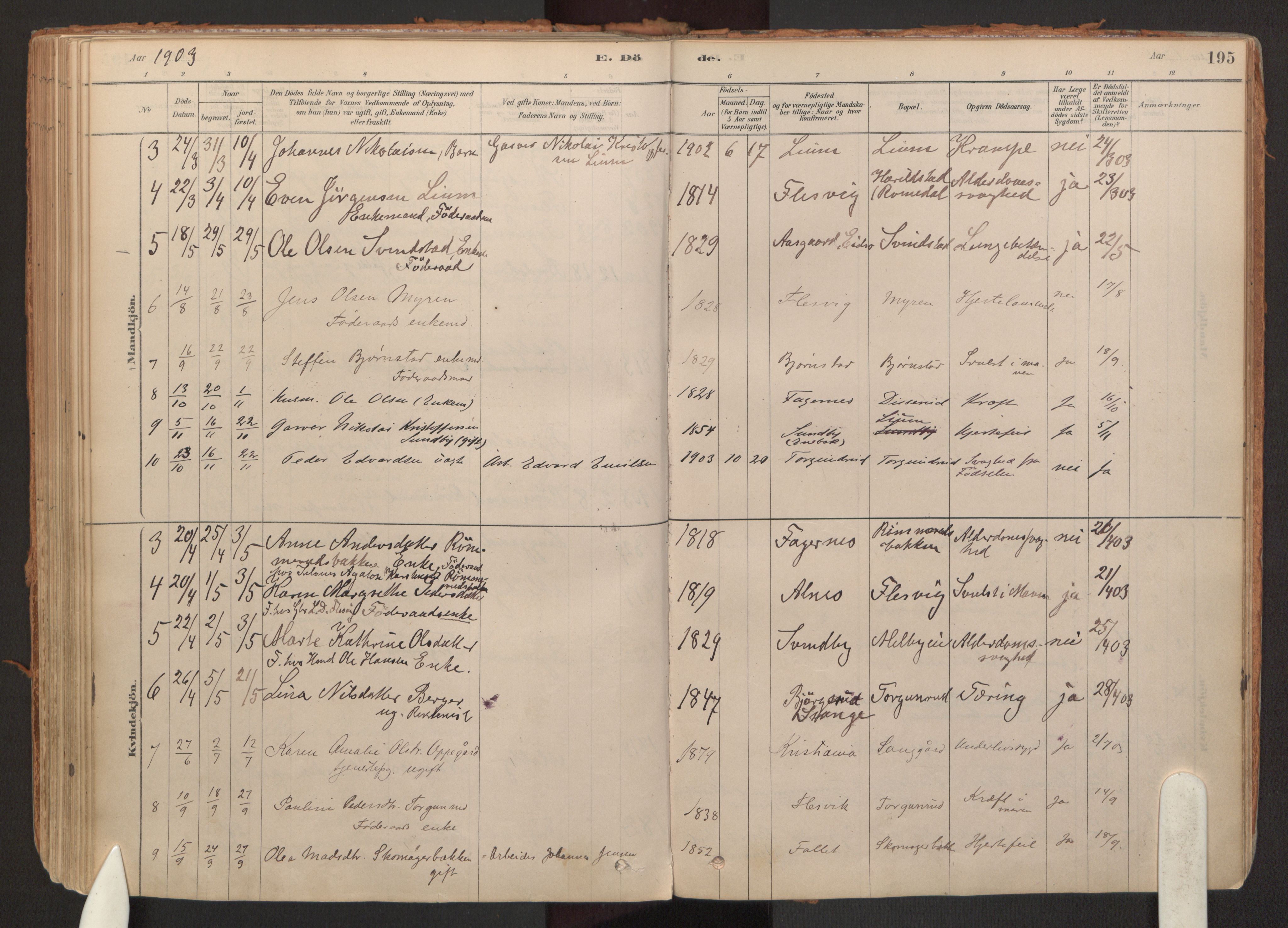 Hurdal prestekontor Kirkebøker, SAO/A-10889/F/Fb/L0003: Parish register (official) no. II 3, 1878-1920, p. 195