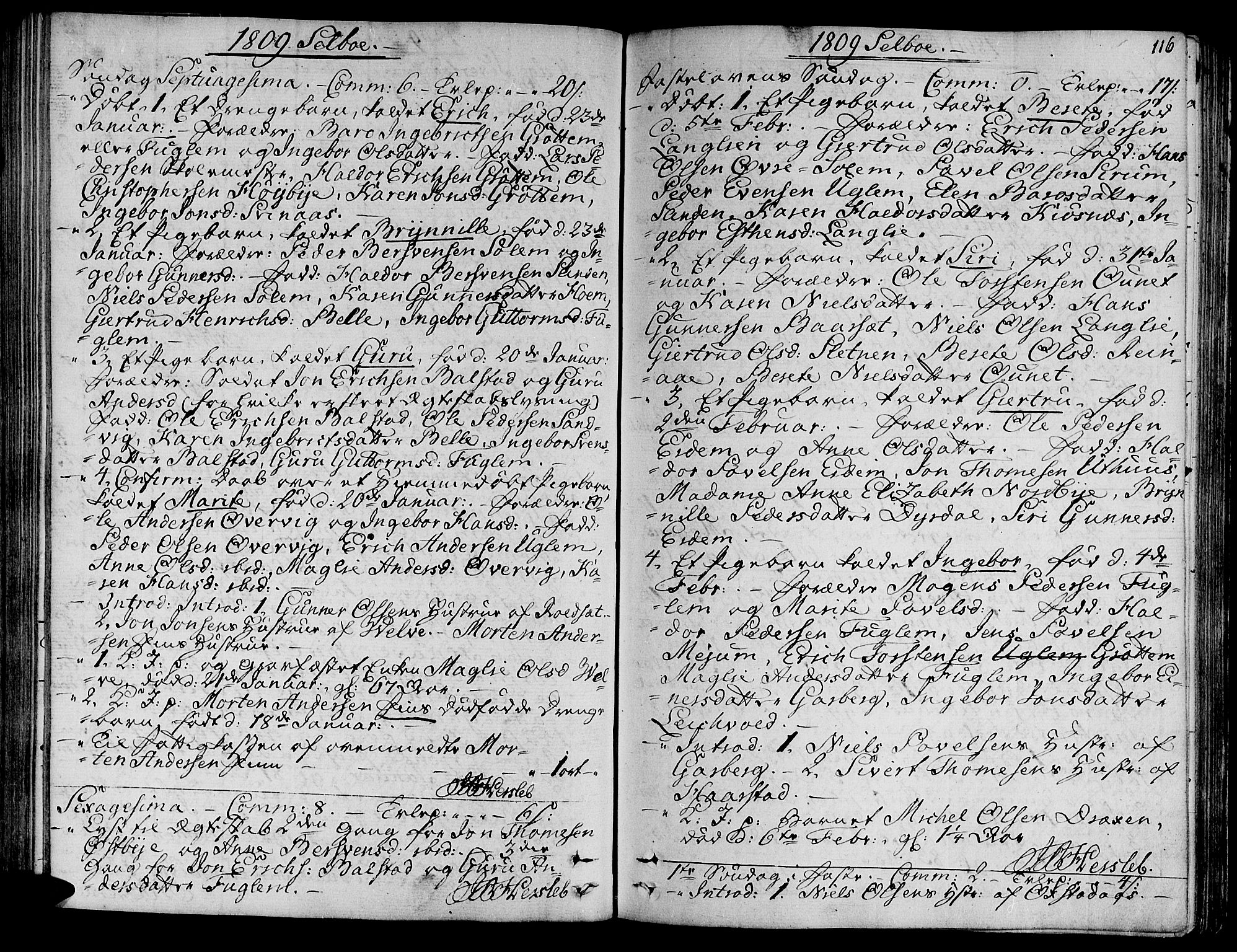 Ministerialprotokoller, klokkerbøker og fødselsregistre - Sør-Trøndelag, SAT/A-1456/695/L1140: Parish register (official) no. 695A03, 1801-1815, p. 116