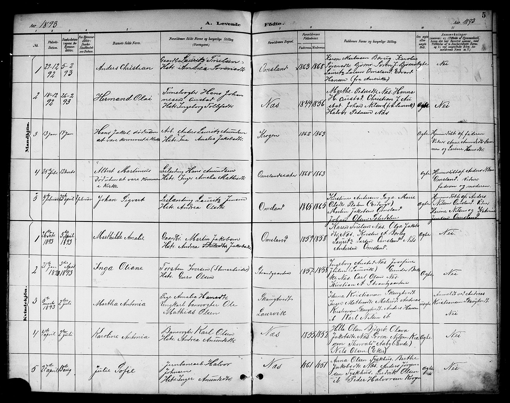 Brunlanes kirkebøker, SAKO/A-342/G/Gc/L0002: Parish register (copy) no. III 2, 1891-1922, p. 5