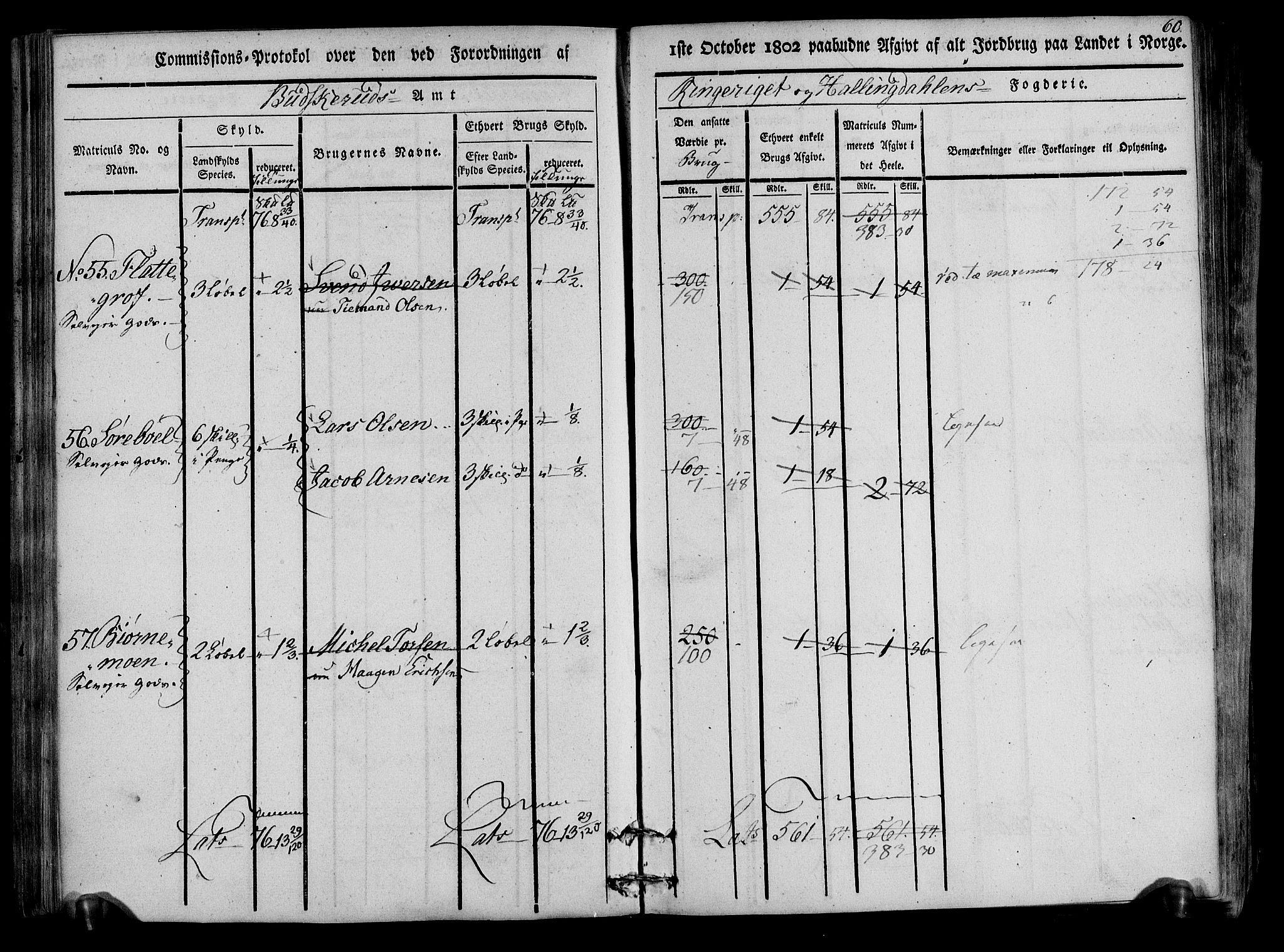 Rentekammeret inntil 1814, Realistisk ordnet avdeling, RA/EA-4070/N/Ne/Nea/L0047: Ringerike og Hallingdal fogderi. Kommisjonsprotokoll for Nes prestegjeld, 1803, p. 62