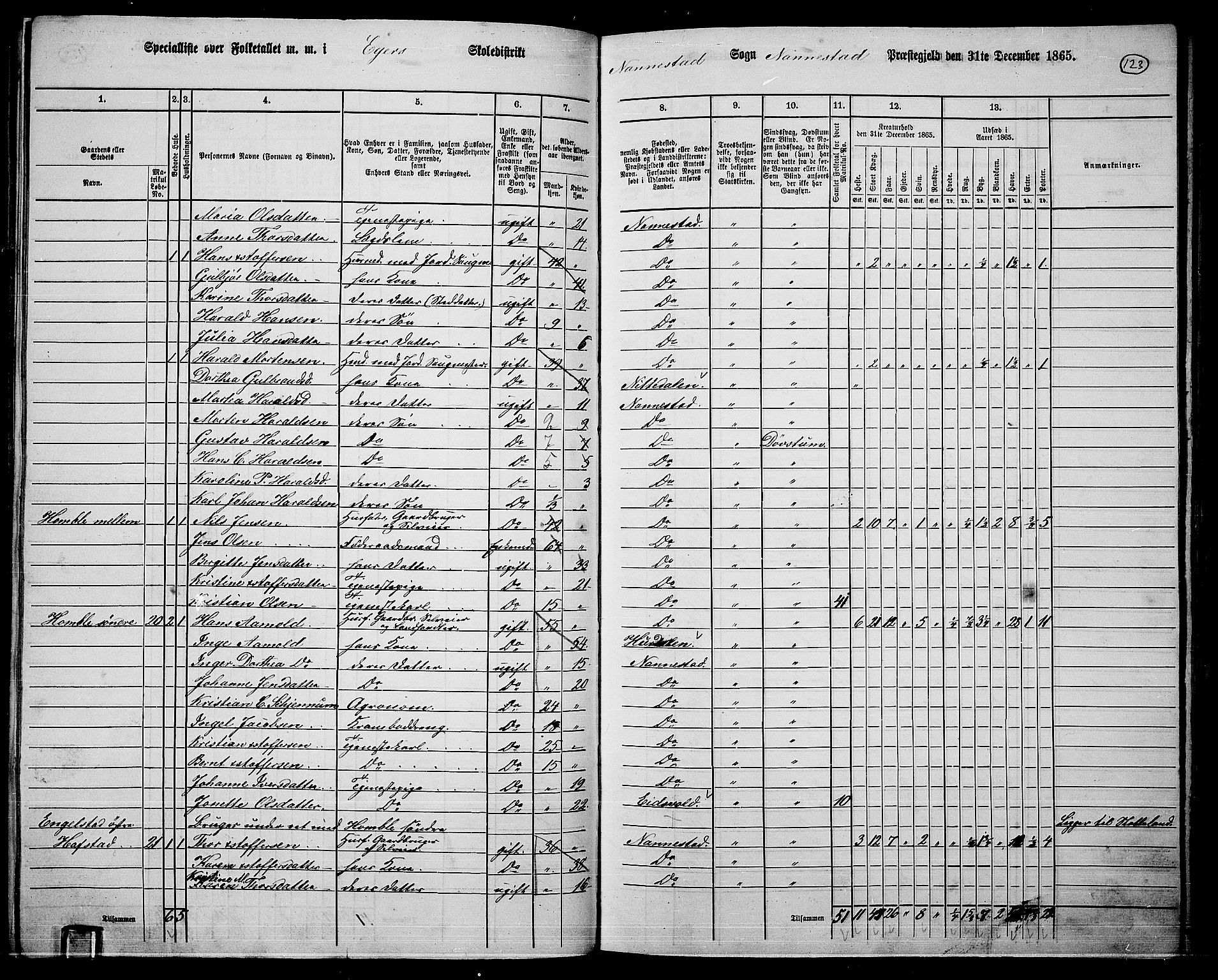 RA, 1865 census for Nannestad, 1865, p. 9