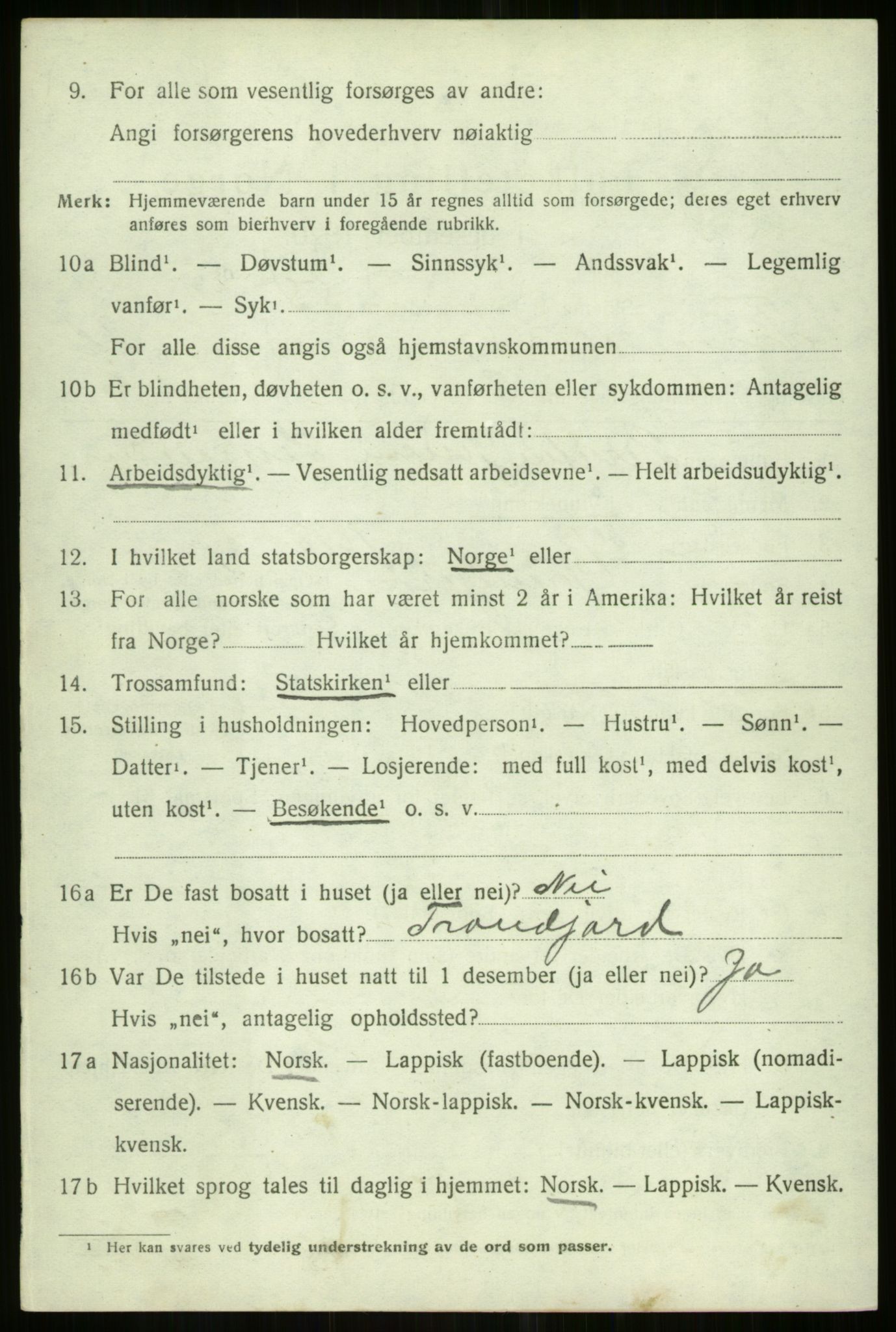 SATØ, 1920 census for Tromsøysund, 1920, p. 12291