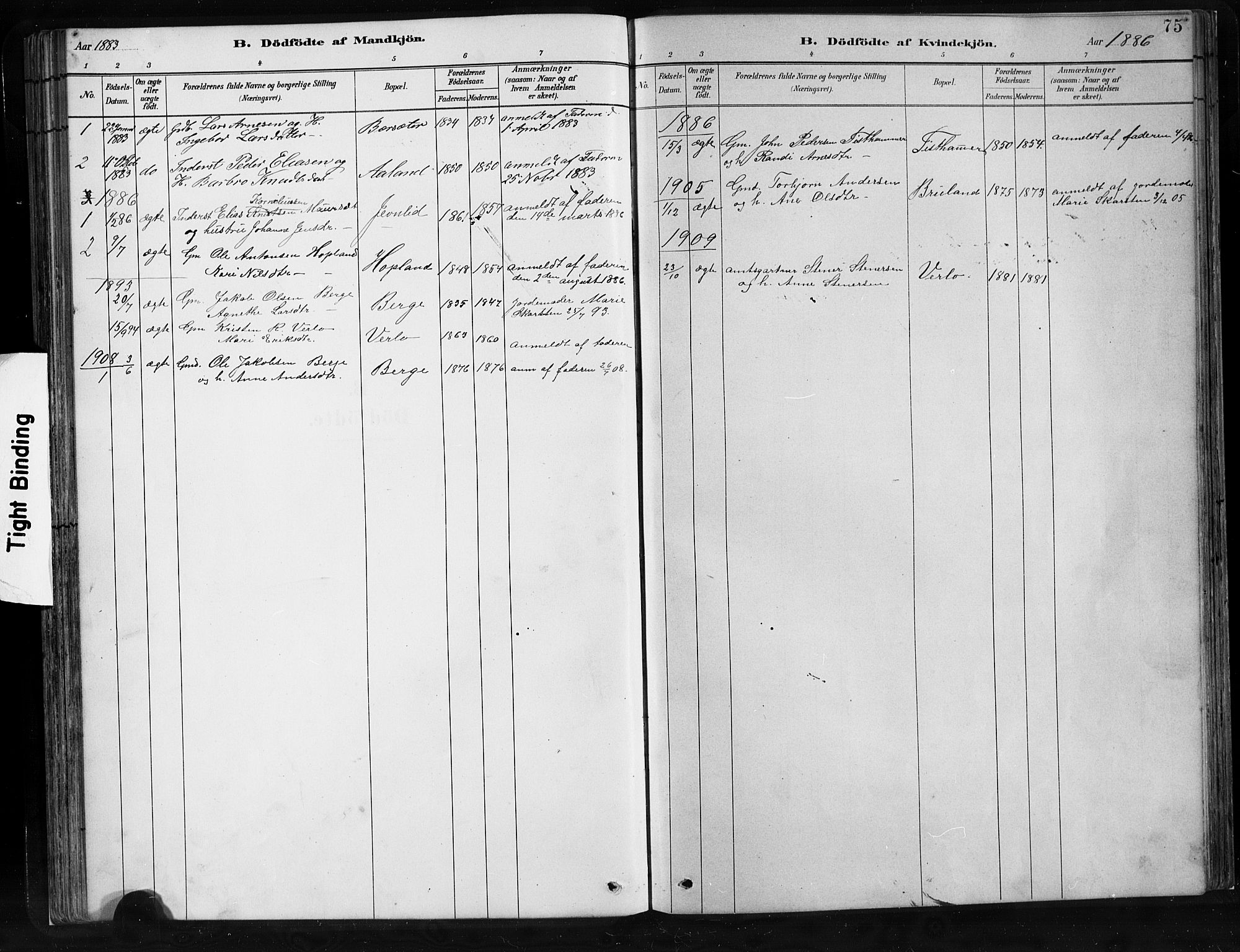 Innvik sokneprestembete, AV/SAB-A-80501: Parish register (copy) no. C 3, 1883-1911, p. 75