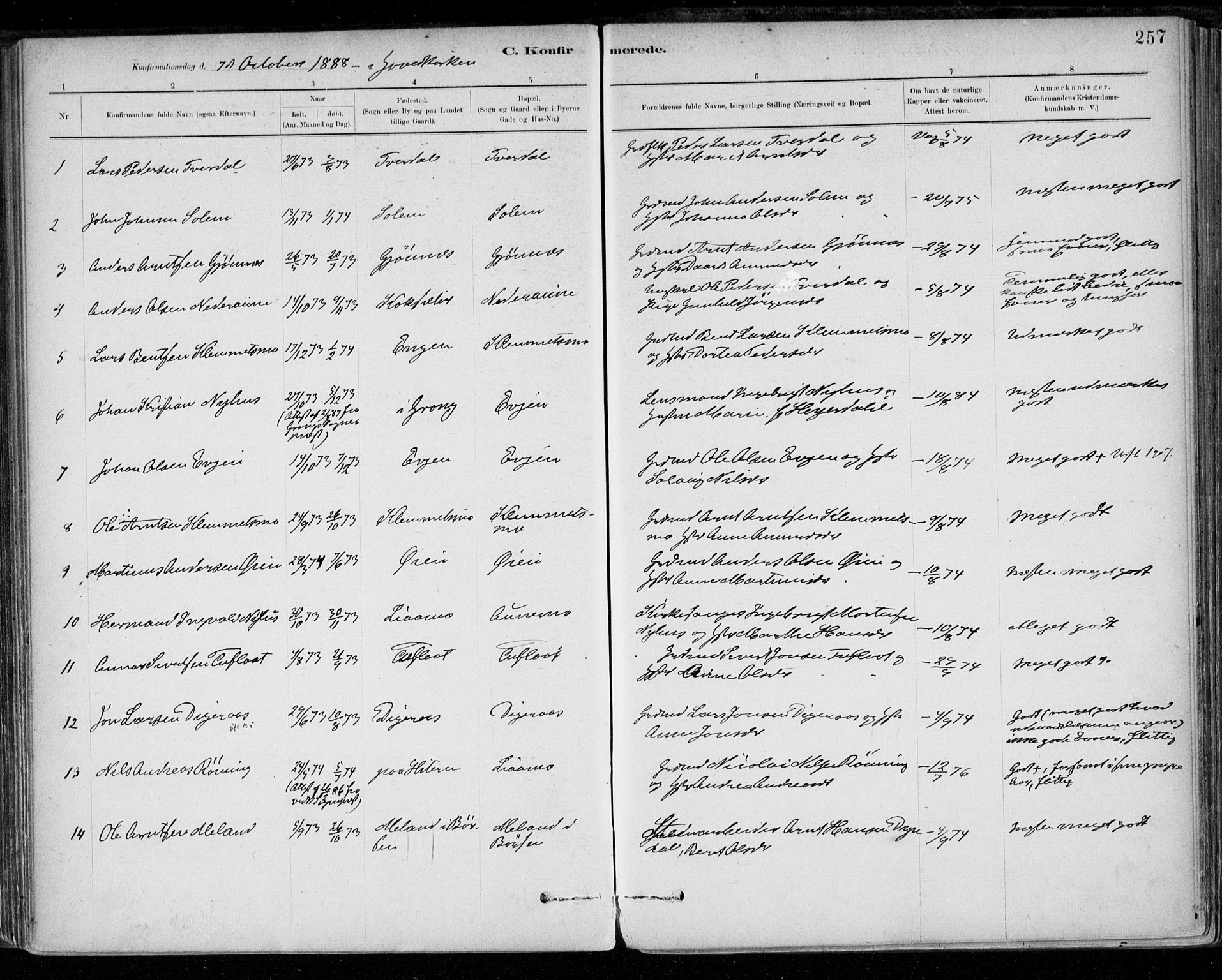 Ministerialprotokoller, klokkerbøker og fødselsregistre - Sør-Trøndelag, SAT/A-1456/668/L0809: Parish register (official) no. 668A09, 1881-1895, p. 257