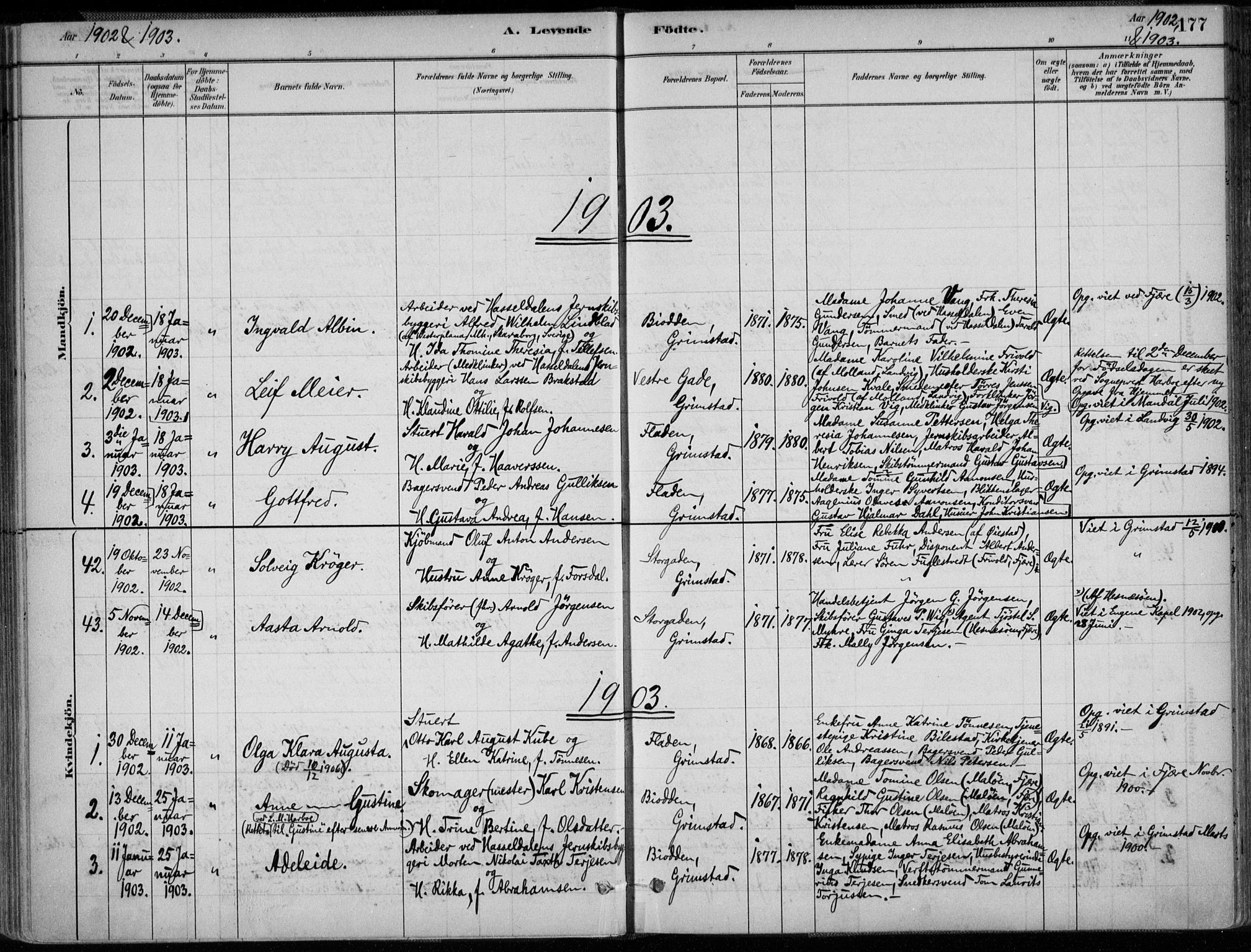 Grimstad sokneprestkontor, AV/SAK-1111-0017/F/Fa/L0003: Parish register (official) no. A 2, 1882-1912, p. 177