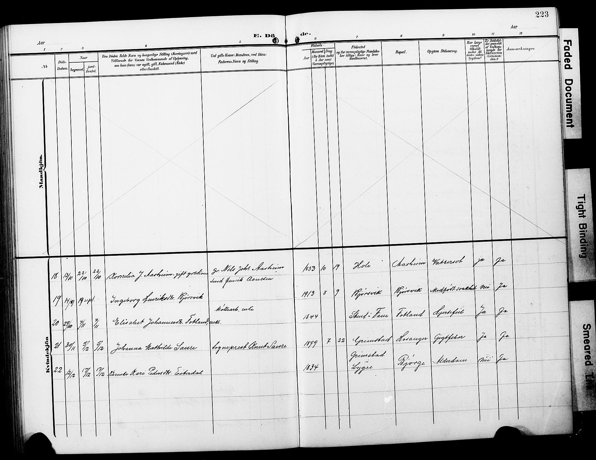 Hosanger sokneprestembete, AV/SAB-A-75801/H/Hab: Parish register (copy) no. A 4, 1904-1927, p. 223