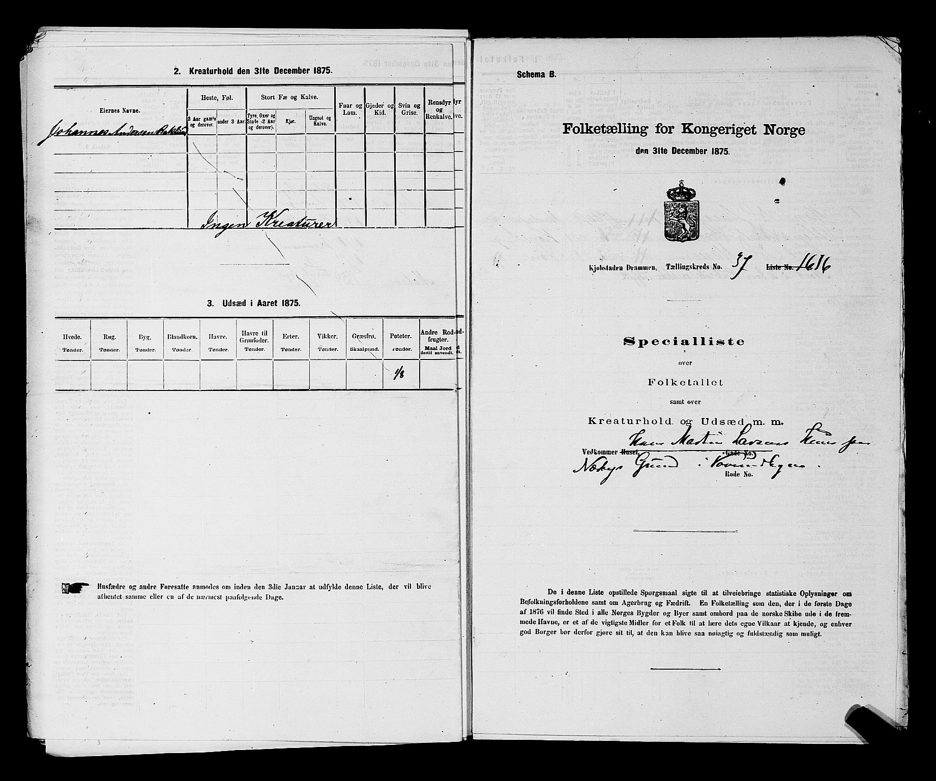 SAKO, 1875 census for 0602 Drammen, 1875, p. 3224