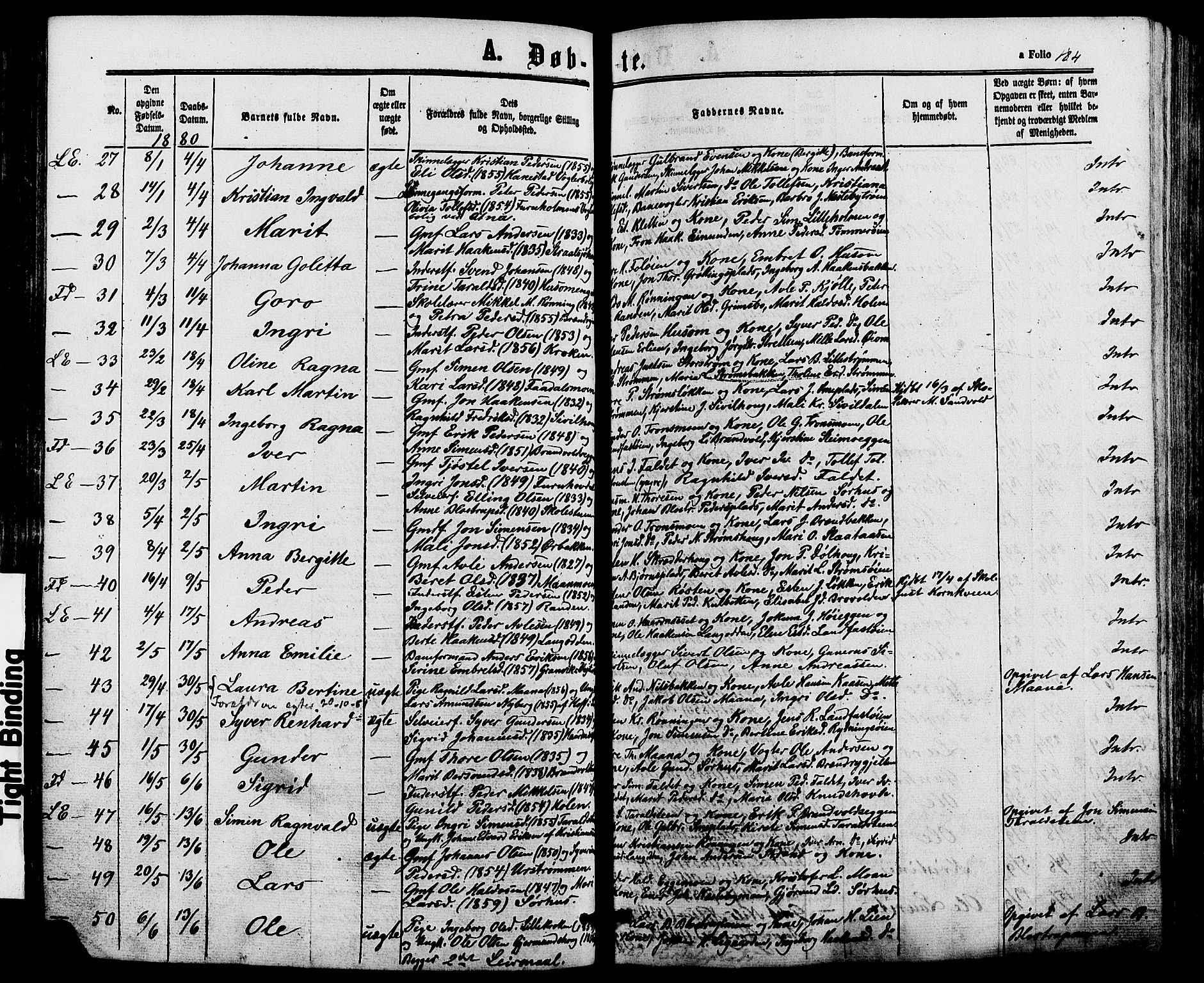 Alvdal prestekontor, SAH/PREST-060/H/Ha/Haa/L0001: Parish register (official) no. 1, 1863-1882, p. 184