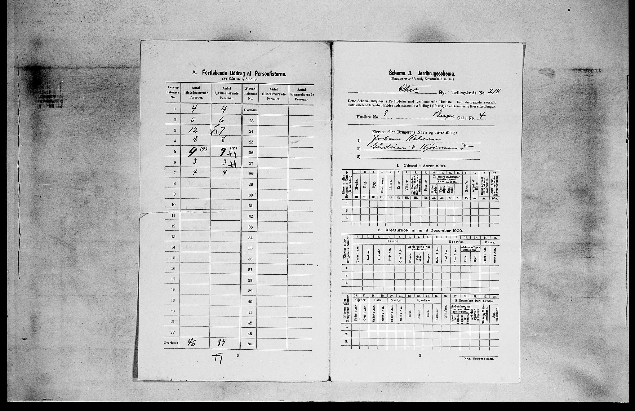 SAO, 1900 census for Kristiania, 1900, p. 4906