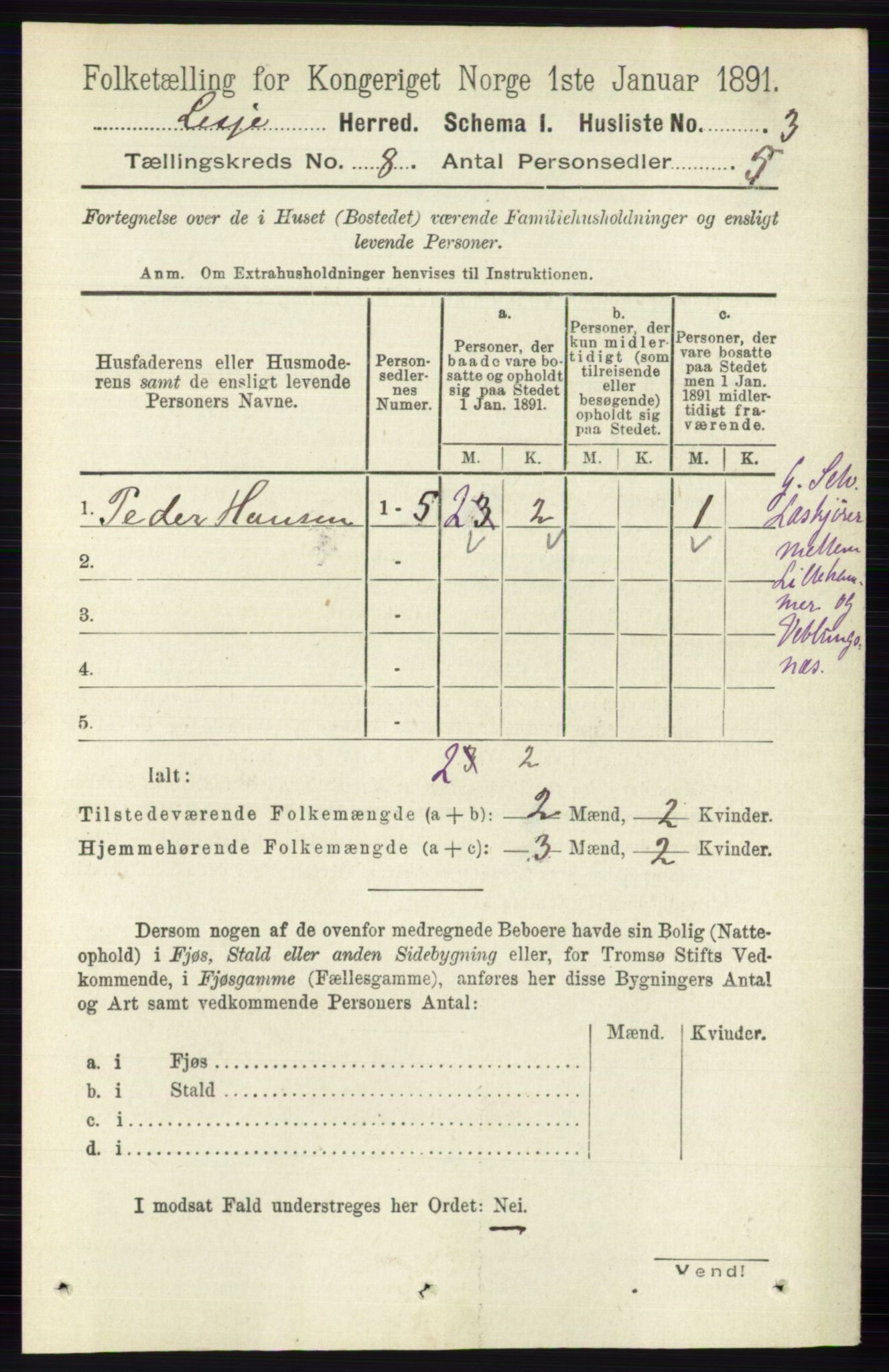 RA, 1891 census for 0512 Lesja, 1891, p. 2908