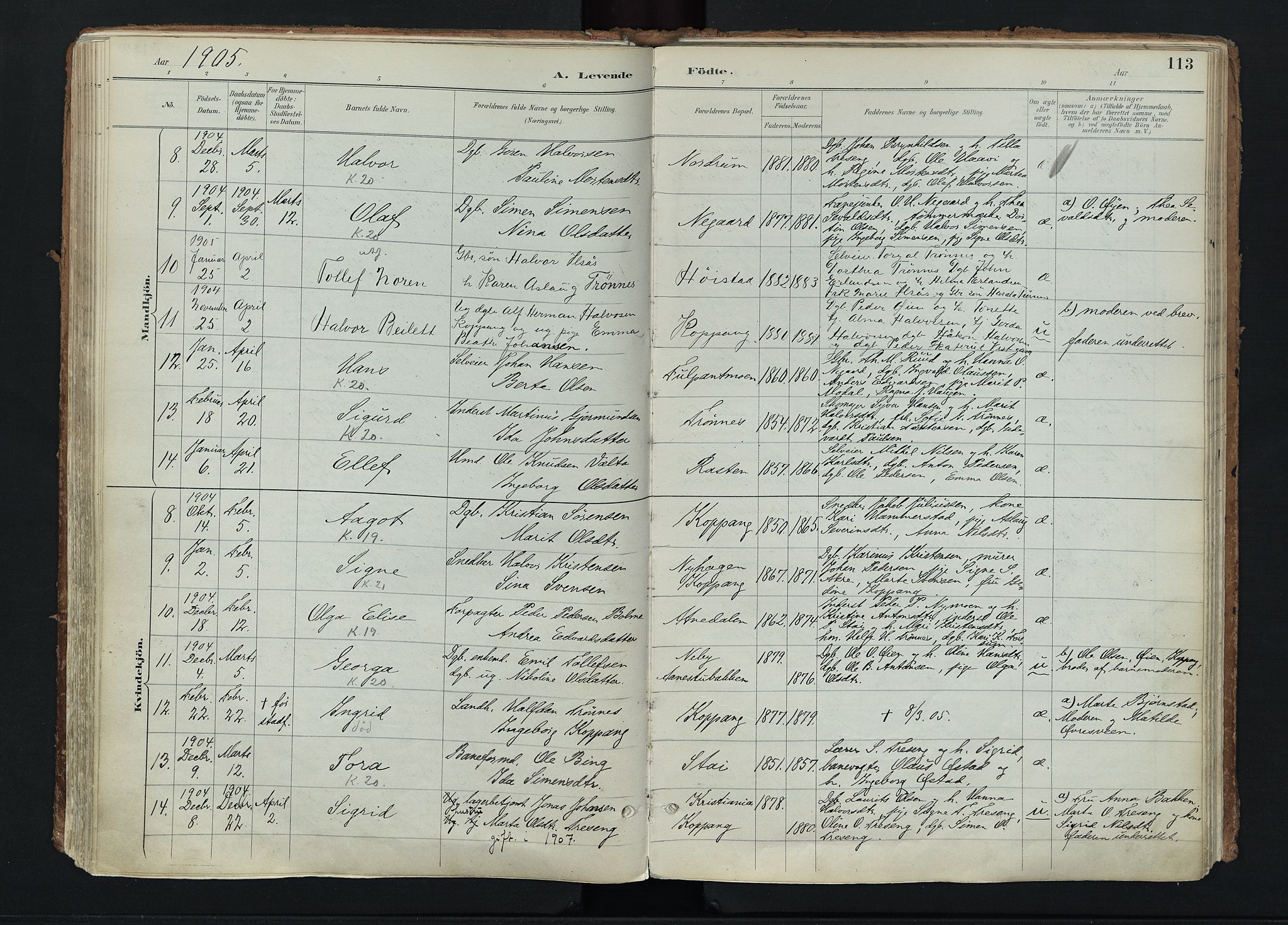 Stor-Elvdal prestekontor, SAH/PREST-052/H/Ha/Haa/L0004: Parish register (official) no. 4, 1890-1922, p. 113