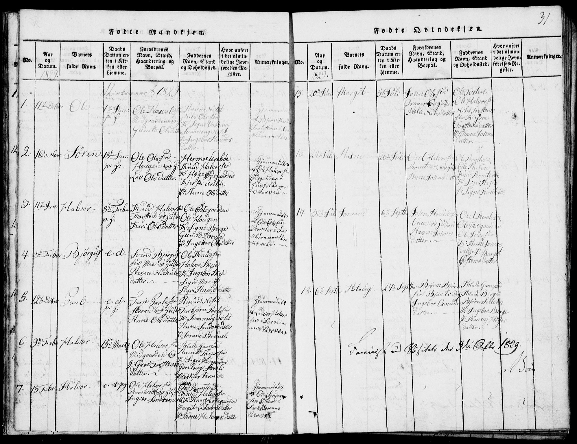 Rauland kirkebøker, SAKO/A-292/G/Ga/L0001: Parish register (copy) no. I 1, 1814-1843, p. 31