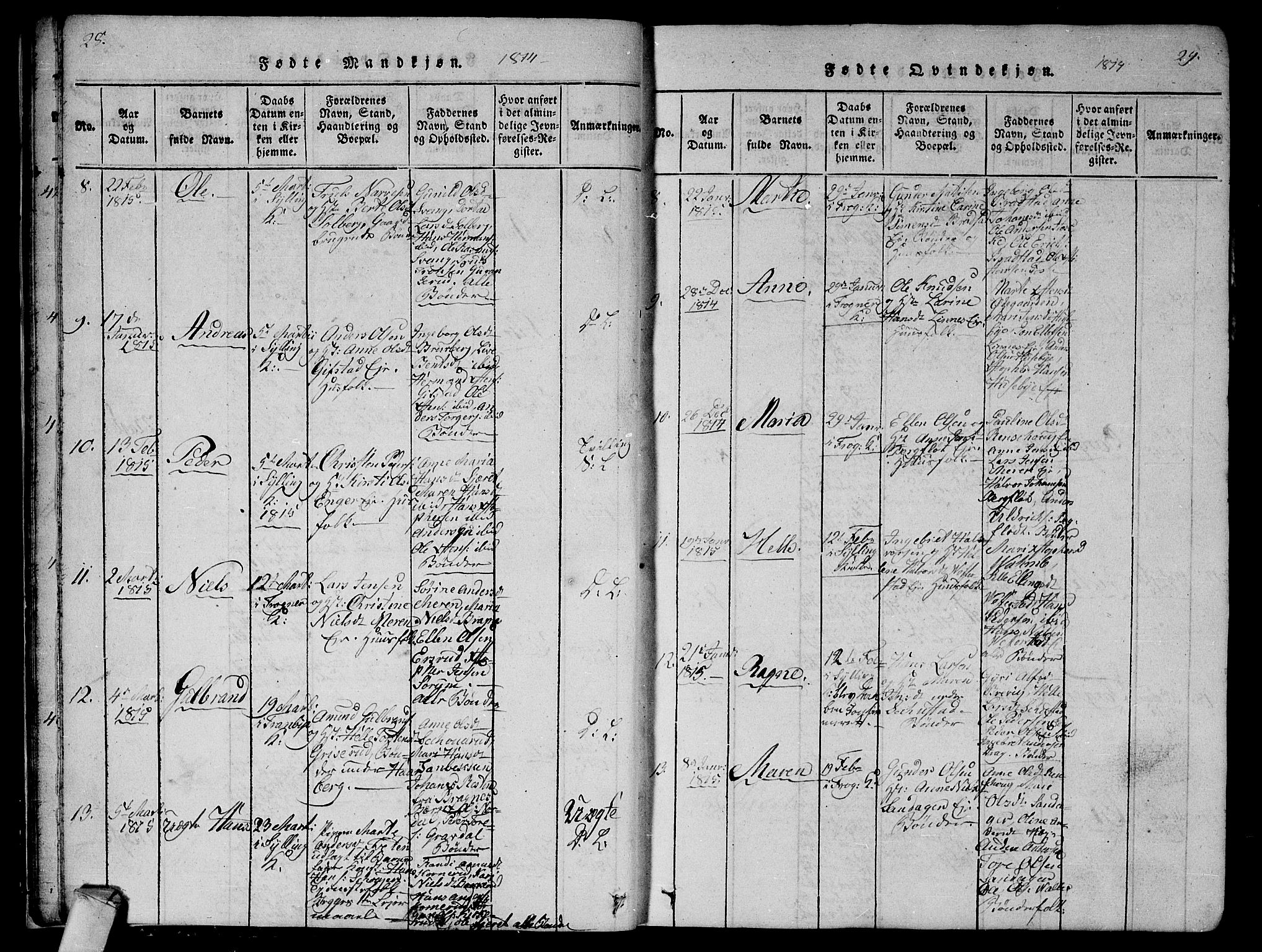 Lier kirkebøker, AV/SAKO-A-230/G/Ga/L0001: Parish register (copy) no. I 1, 1813-1824, p. 28-29