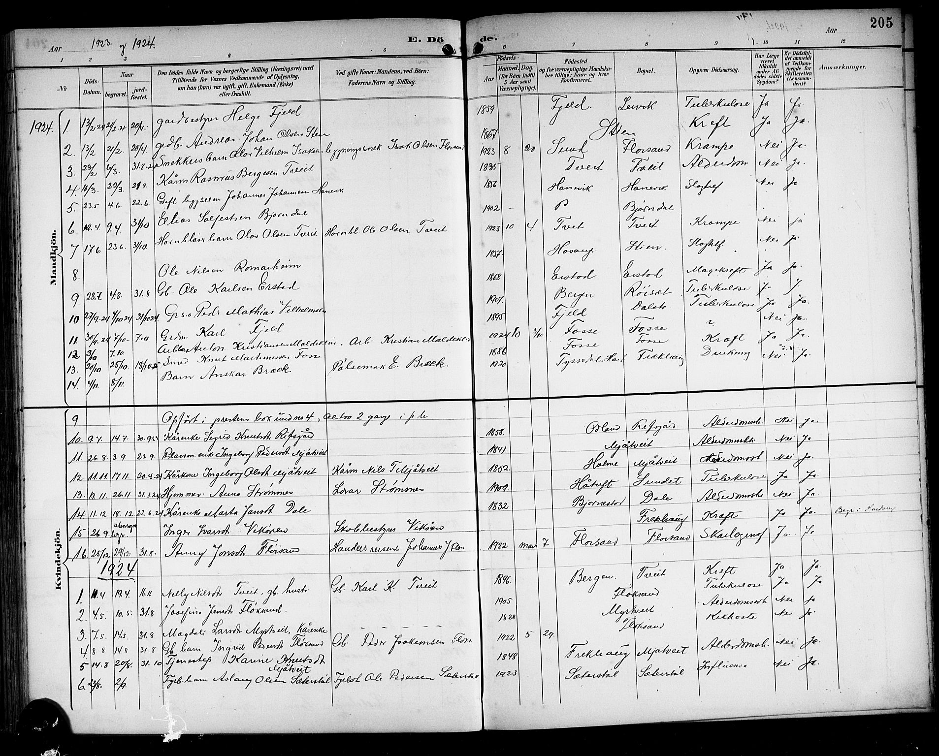 Alversund Sokneprestembete, SAB/A-73901/H/Ha/Hab: Parish register (copy) no. C 4, 1894-1924, p. 205