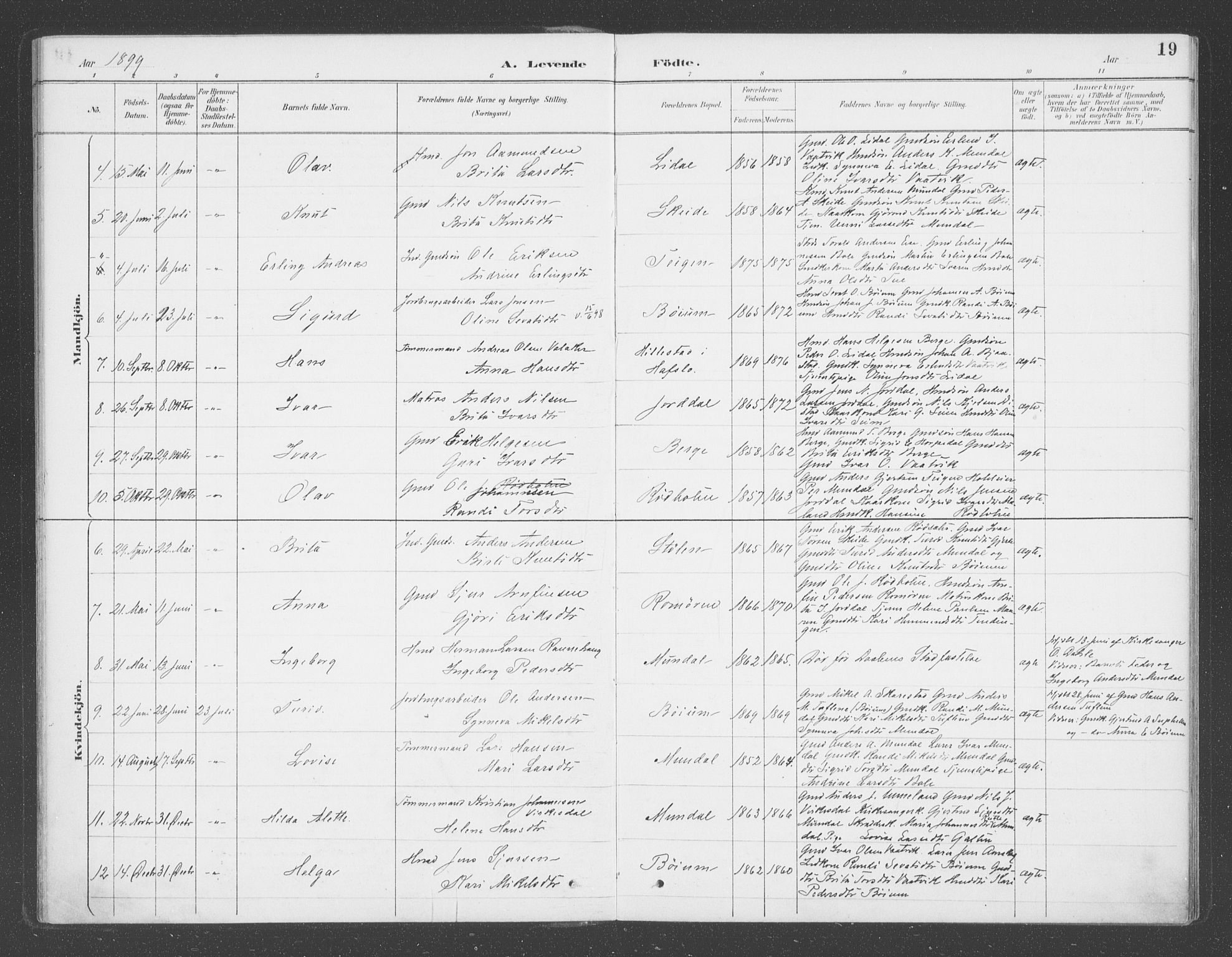 Balestrand sokneprestembete, AV/SAB-A-79601/H/Haa/Haac/L0001: Parish register (official) no. C  1, 1889-1909, p. 19