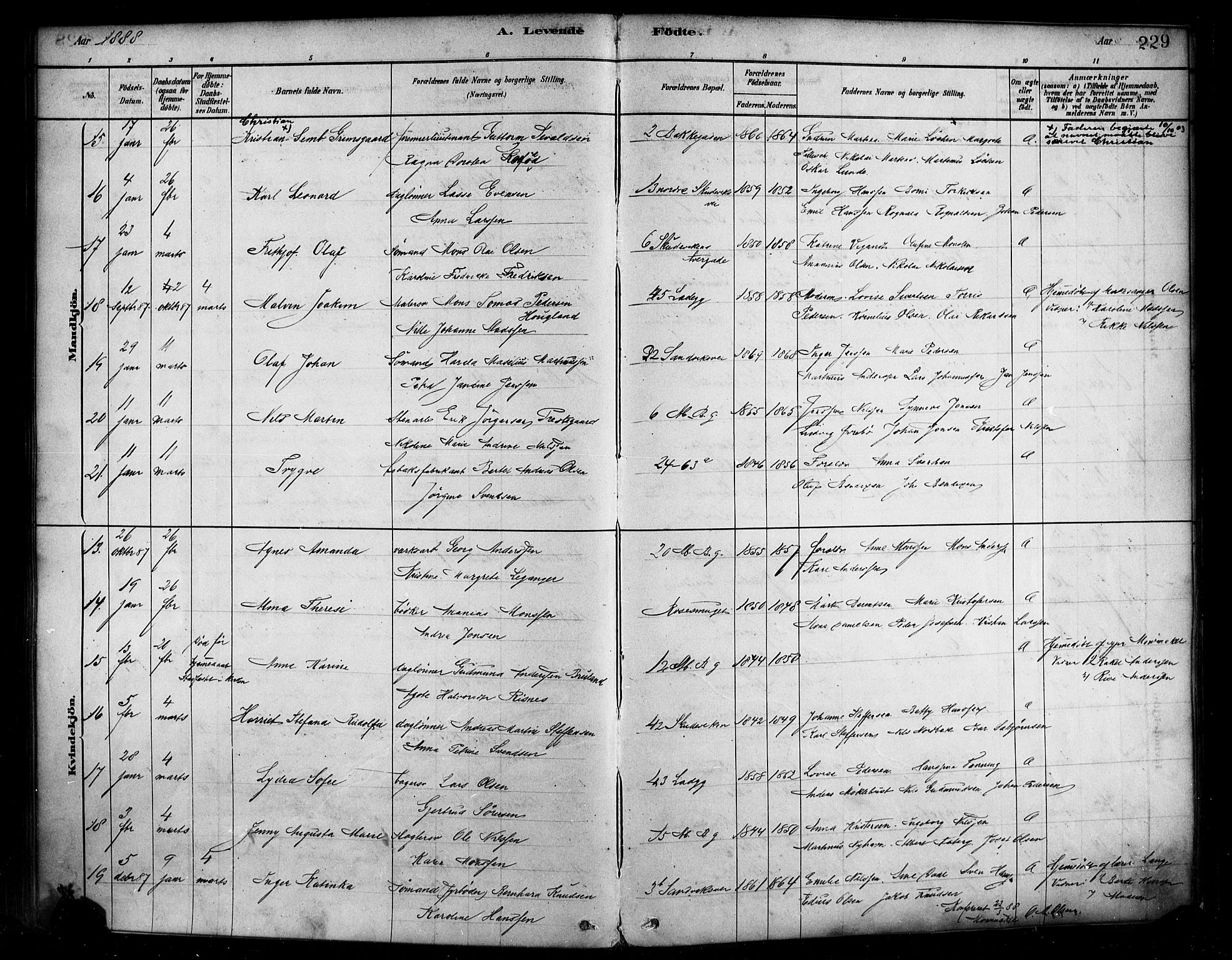 Sandviken Sokneprestembete, SAB/A-77601/H/Ha/L0004: Parish register (official) no. B 1, 1878-1891, p. 229