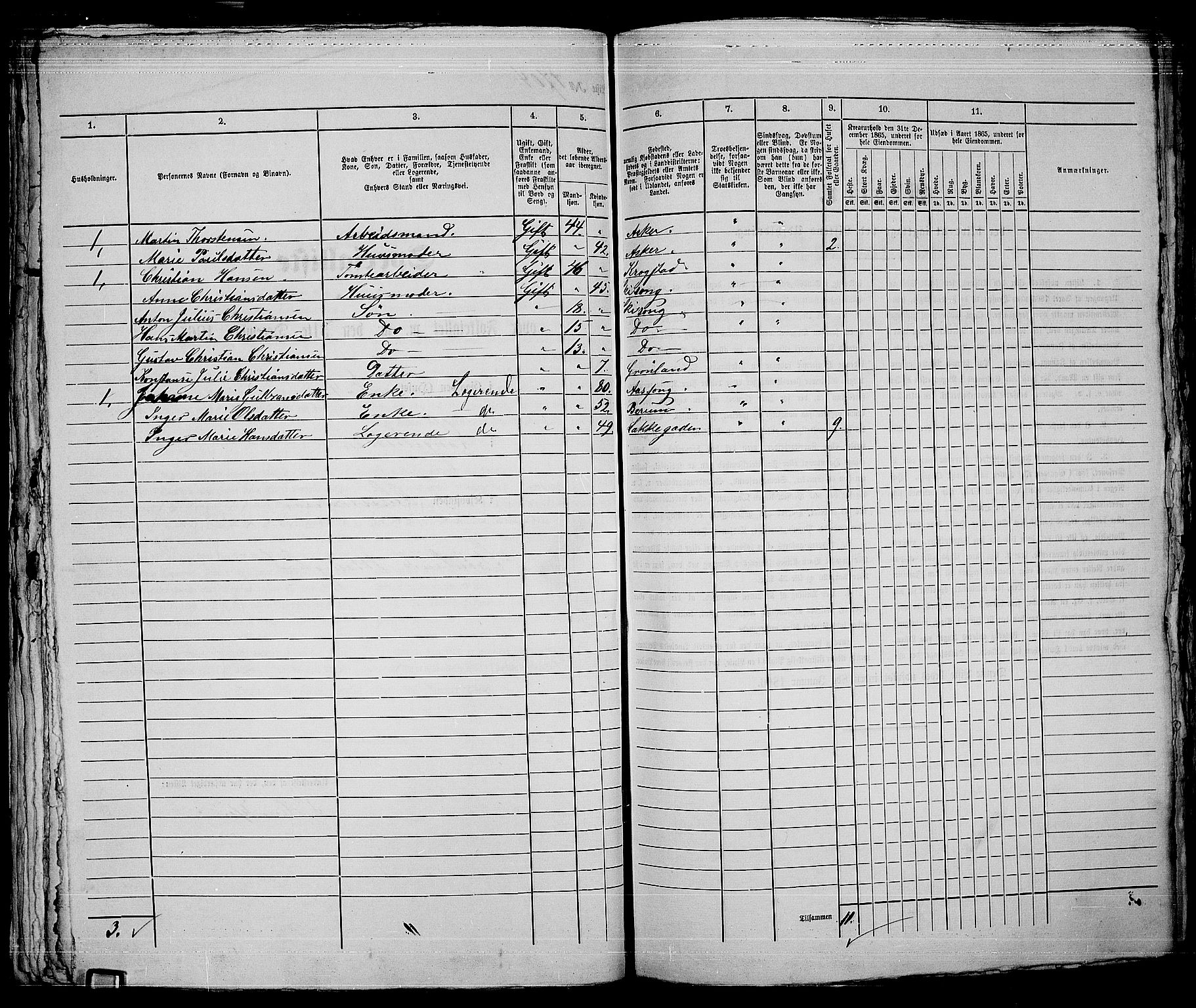 RA, 1865 census for Kristiania, 1865, p. 3849