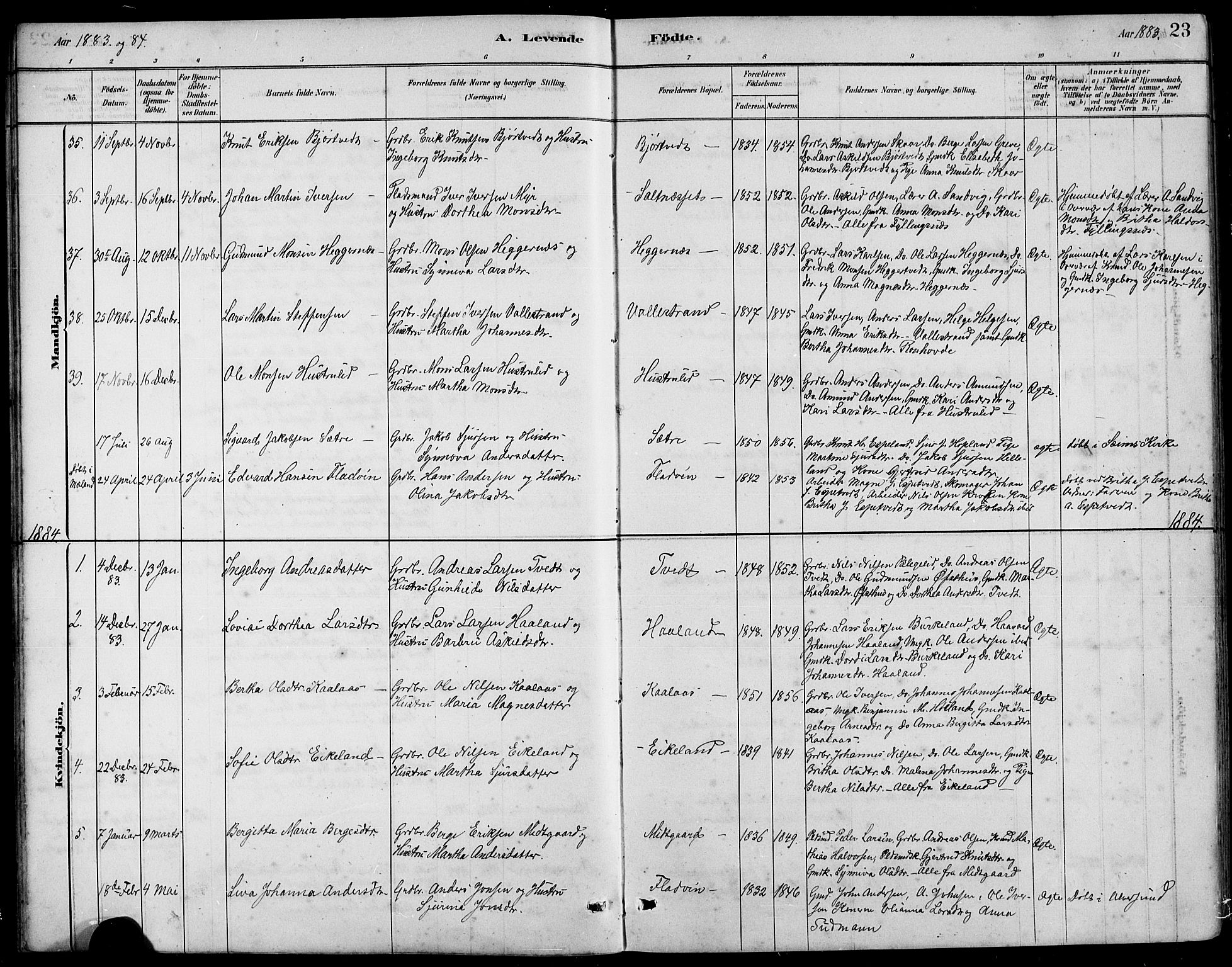 Hamre sokneprestembete, SAB/A-75501/H/Ha/Hab: Parish register (copy) no. B 3, 1881-1898, p. 23