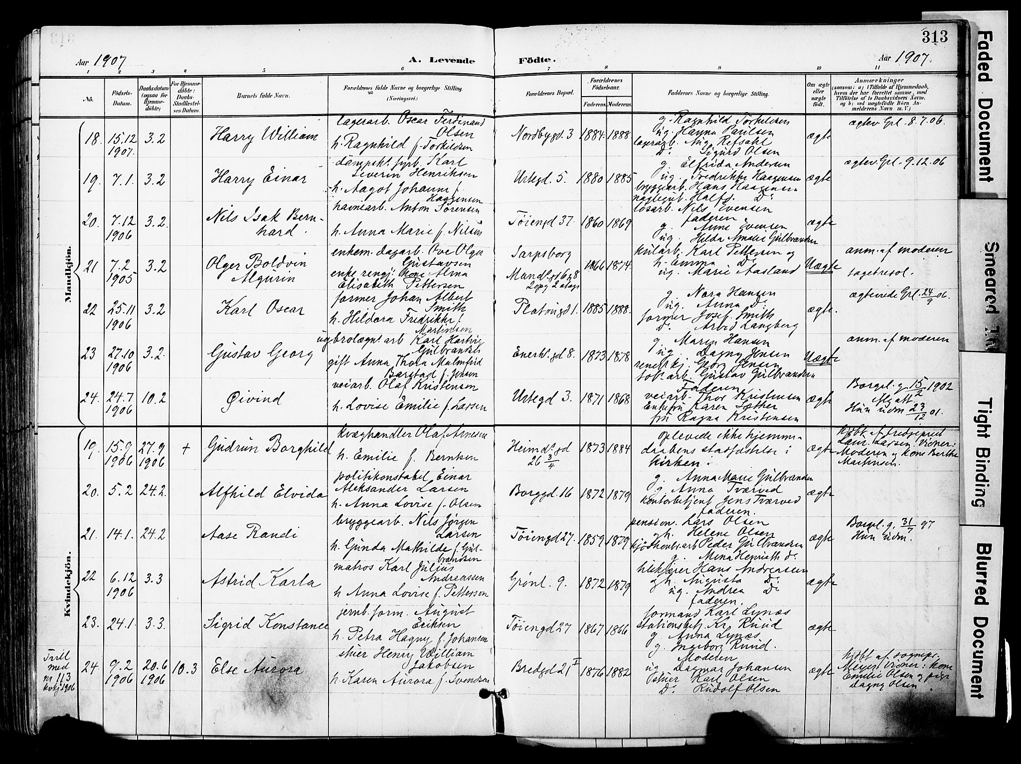 Grønland prestekontor Kirkebøker, AV/SAO-A-10848/F/Fa/L0014: Parish register (official) no. 14, 1900-1911, p. 313