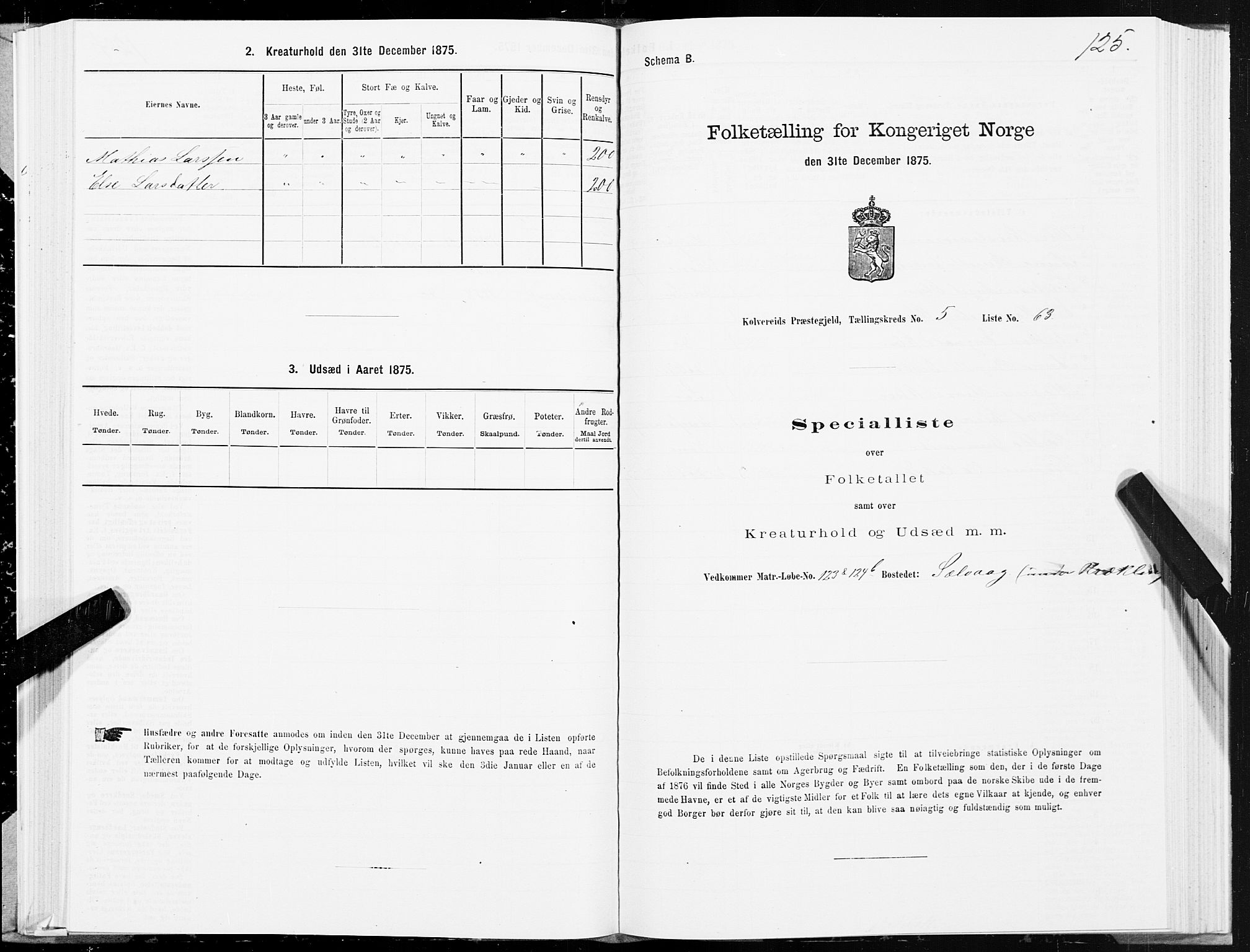 SAT, 1875 census for 1752P Kolvereid, 1875, p. 3125