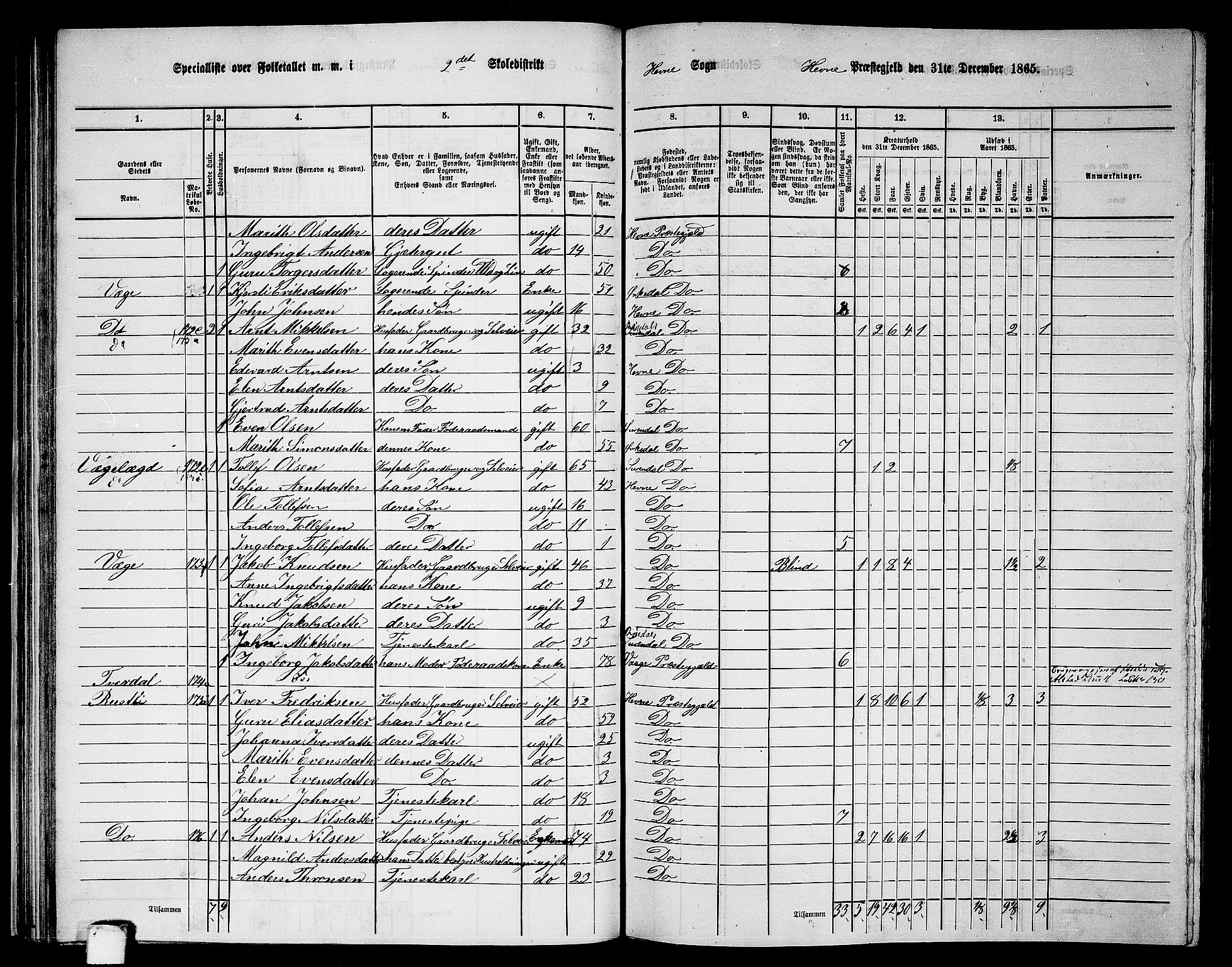 RA, 1865 census for Hemne, 1865, p. 55