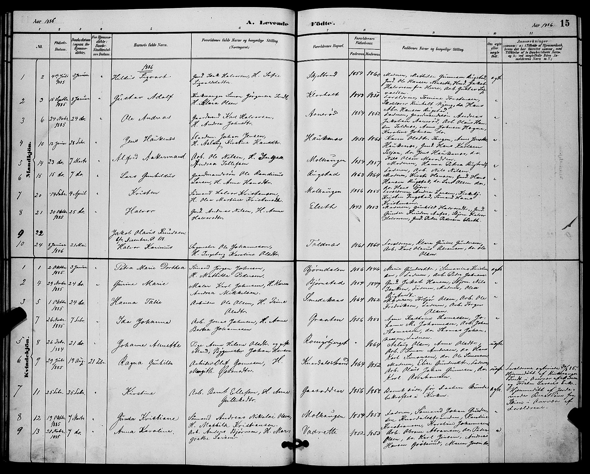 Solum kirkebøker, AV/SAKO-A-306/G/Ga/L0007: Parish register (copy) no. I 7, 1884-1898, p. 15