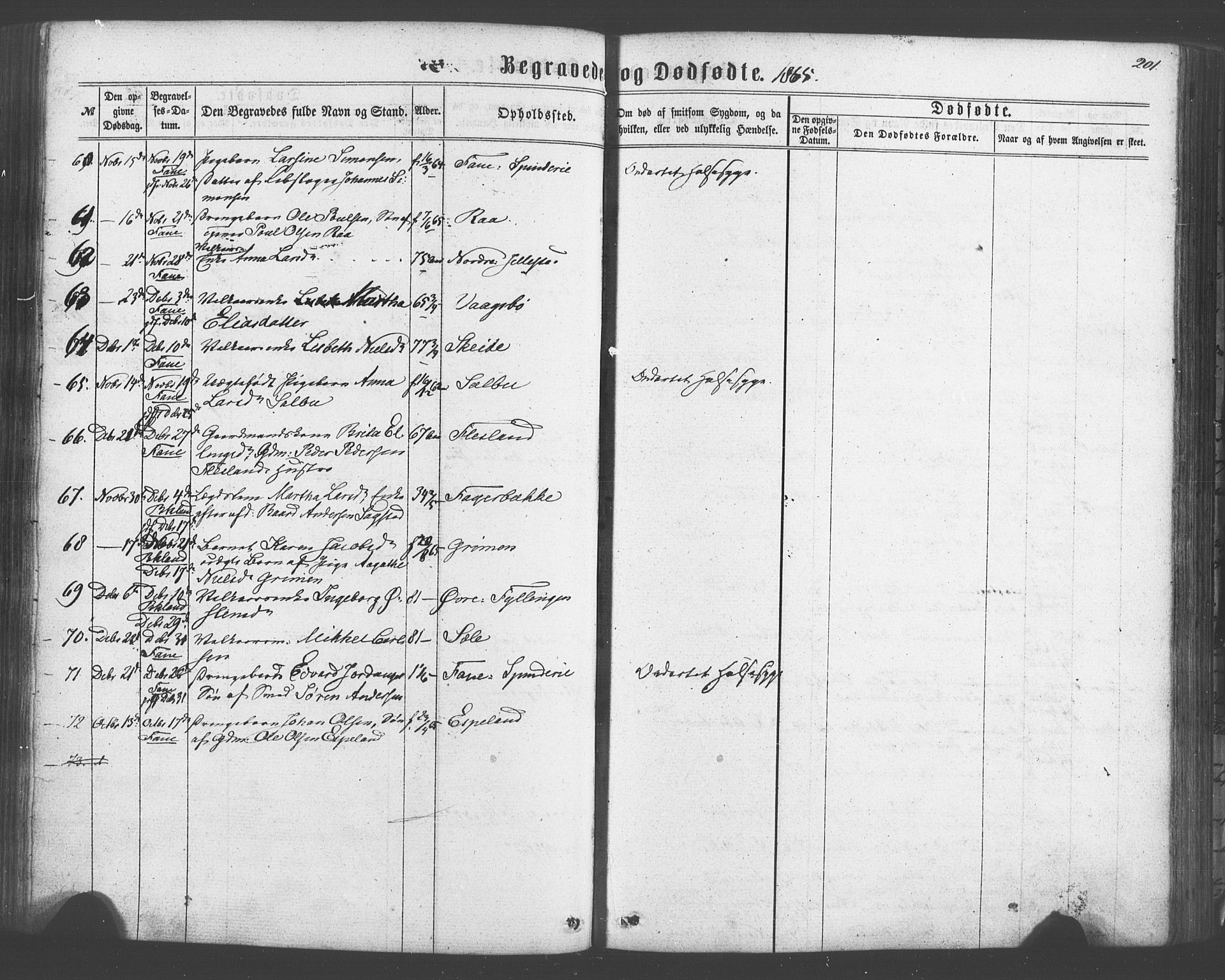 Fana Sokneprestembete, AV/SAB-A-75101/H/Haa/Haaa/L0012: Parish register (official) no. A 12, 1862-1878, p. 201