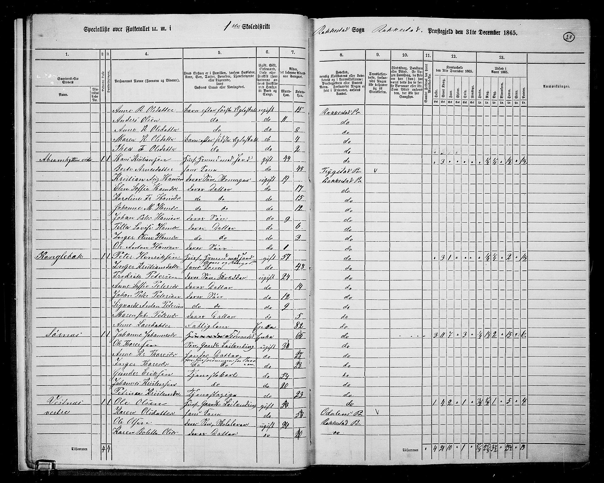 RA, 1865 census for Rakkestad, 1865, p. 21