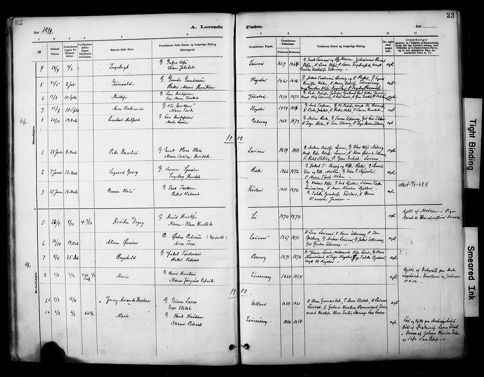Hetland sokneprestkontor, SAST/A-101826/30/30BA/L0010: Parish register (official) no. A 10, 1882-1925, p. 23
