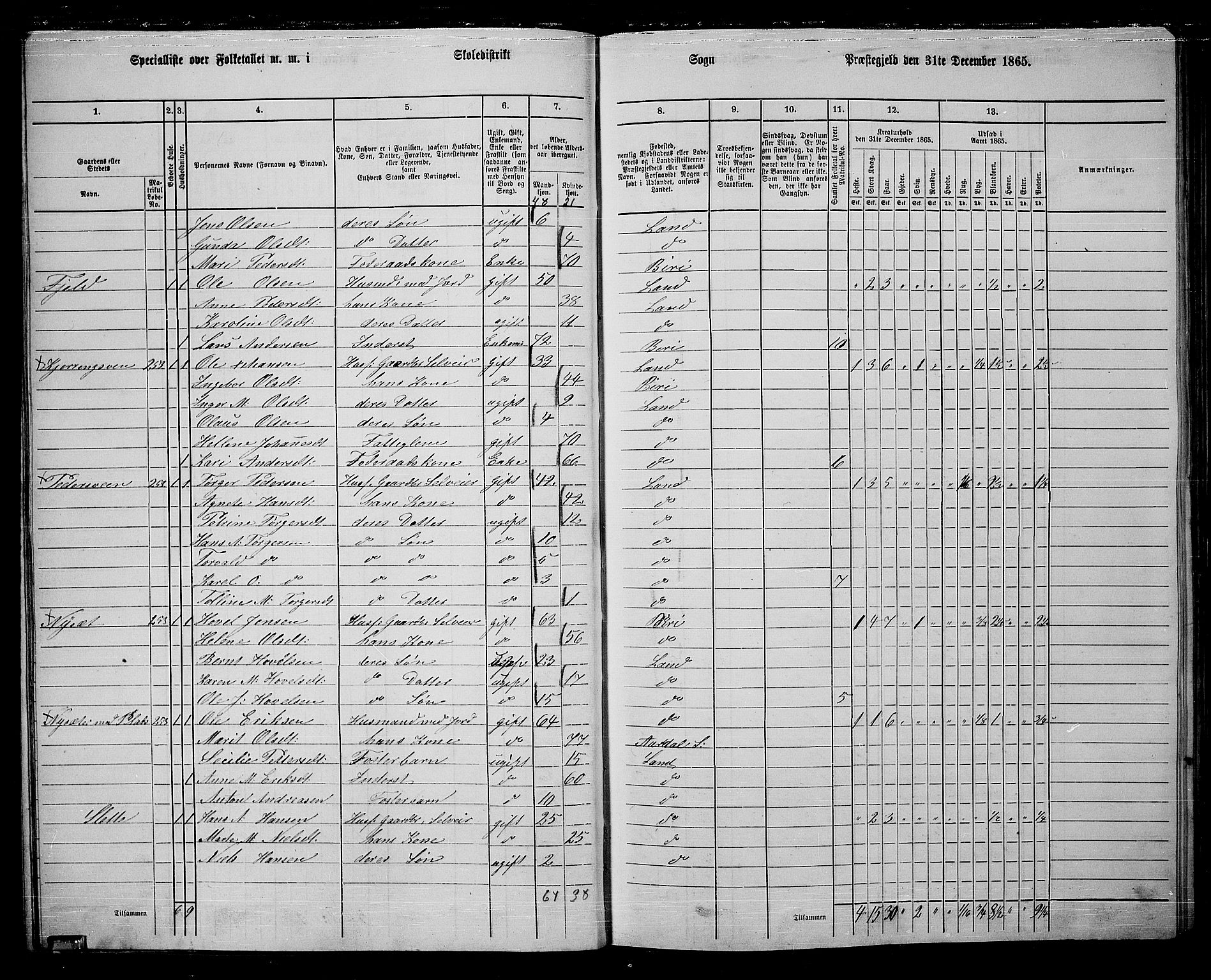 RA, 1865 census for Land, 1865, p. 285